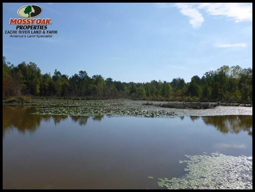 113.79 acres in Perry County, Arkansas