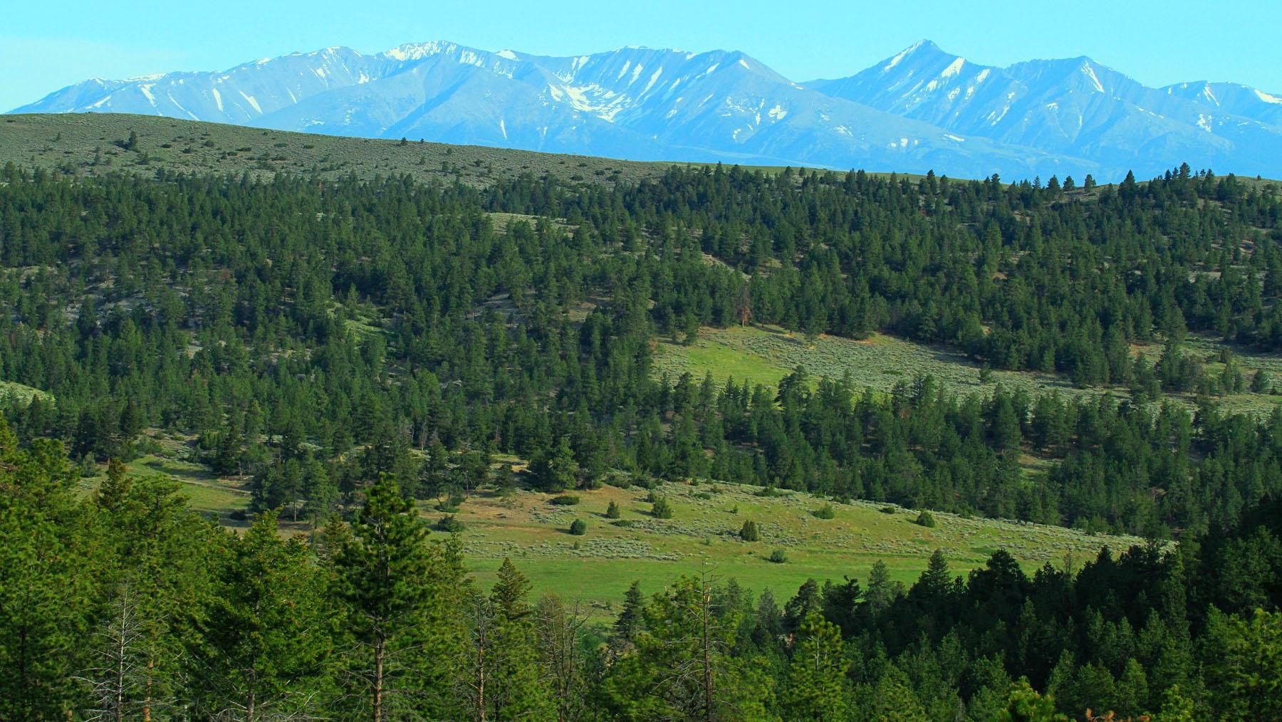 10,605 acres in Sweet Grass County, Montana