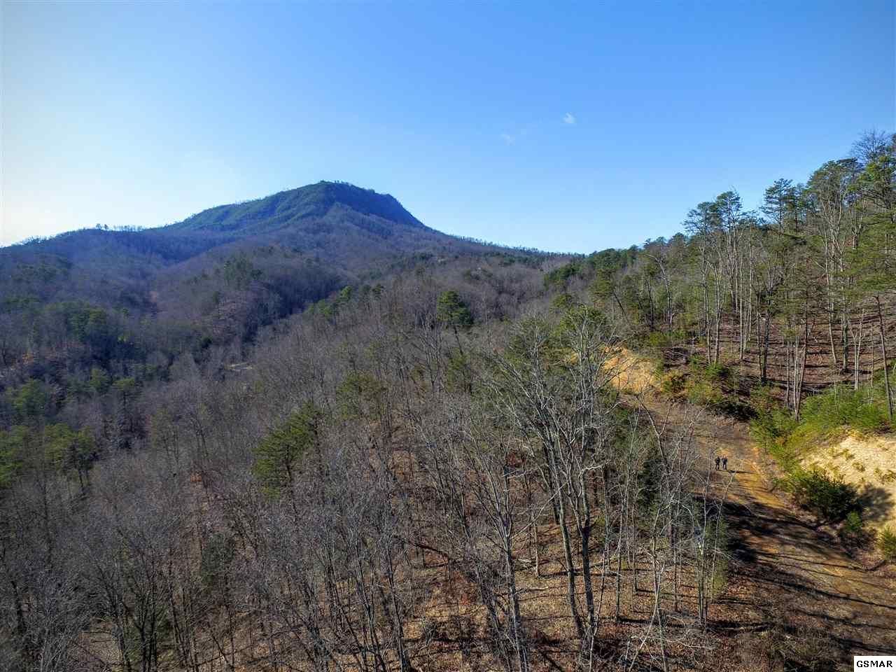 82.50 acres in Sevier County, Tennessee