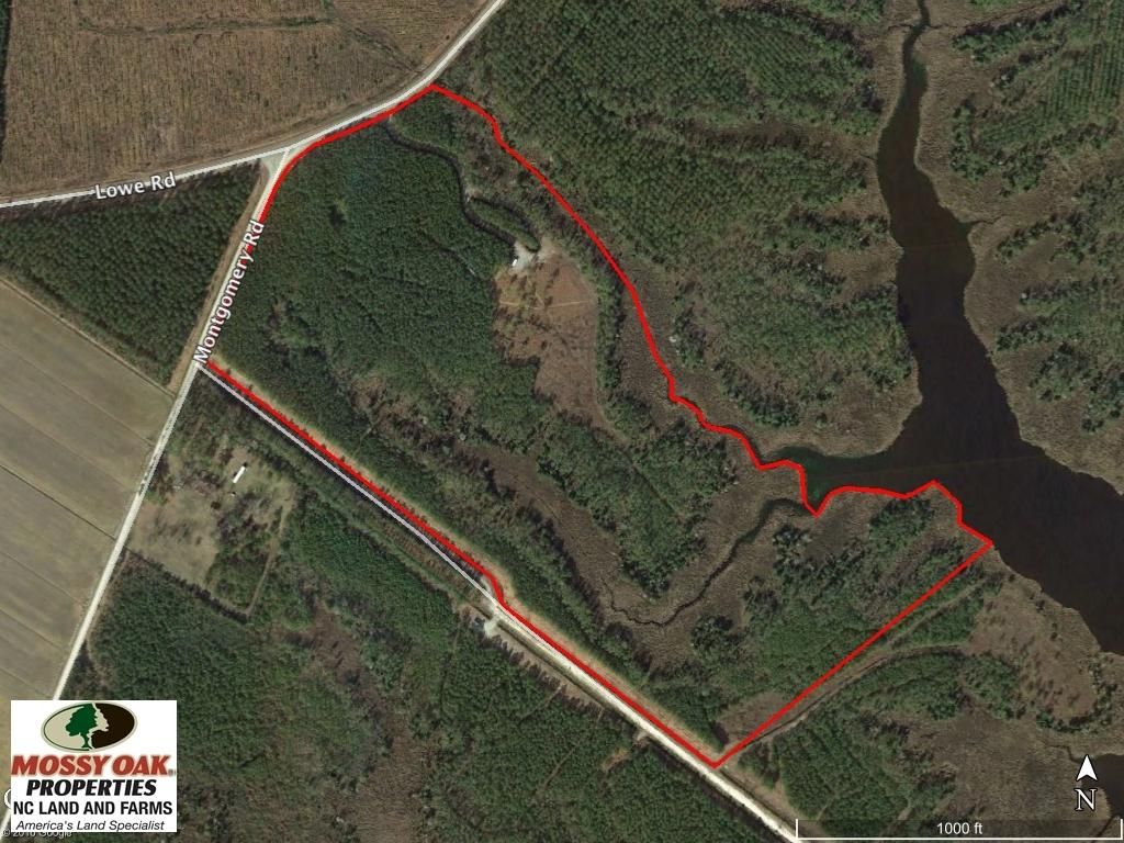 50 acres in Hyde County, North Carolina