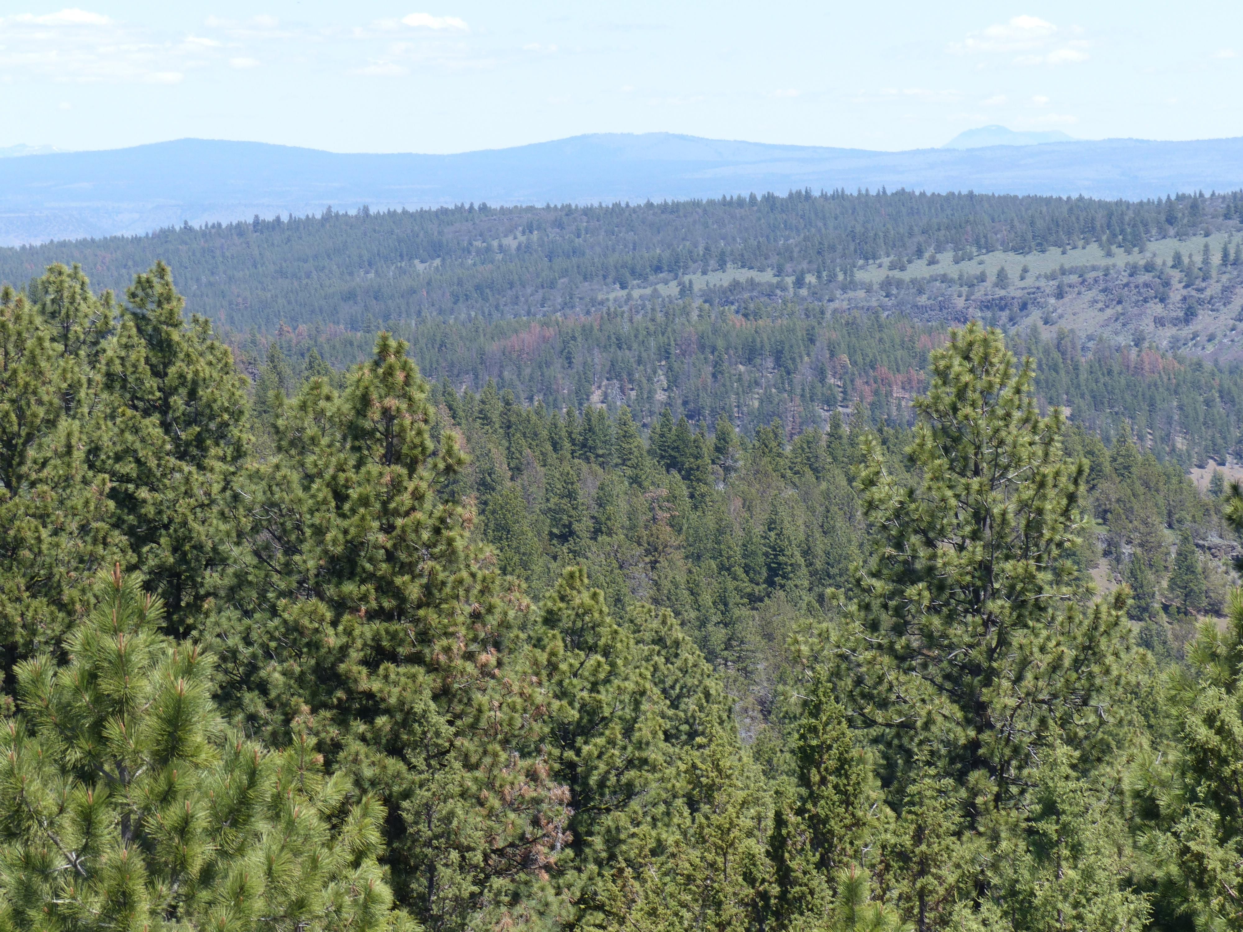 299.93 acres in Harney County, Oregon