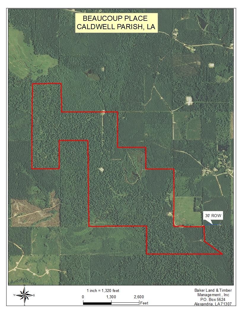 600 acres in Caldwell Parish, Louisiana