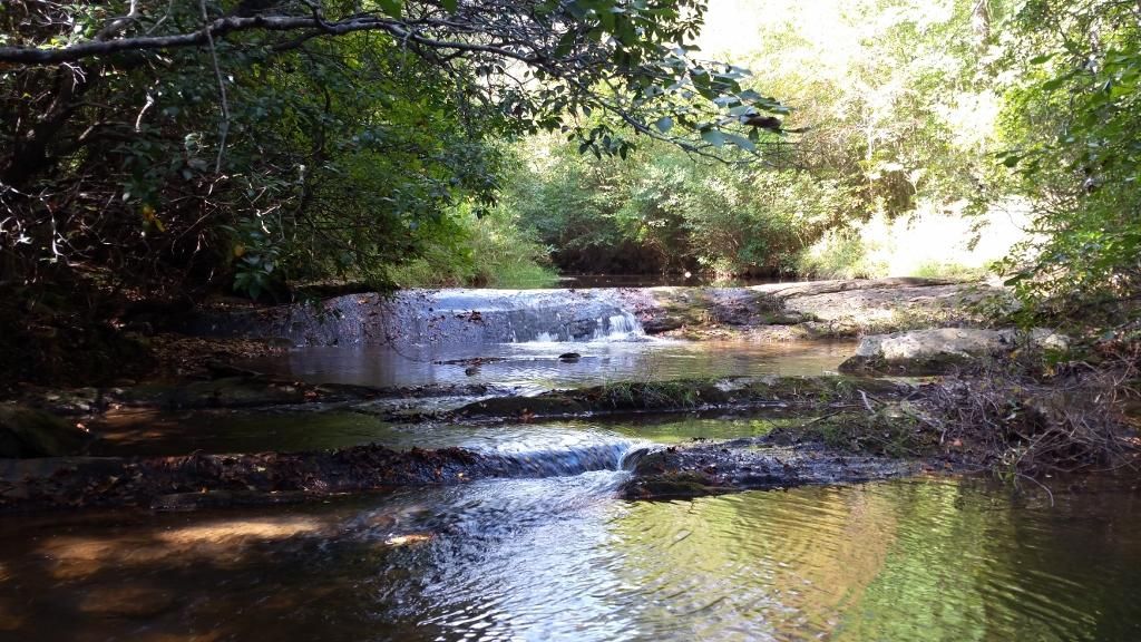 88 acres in Randolph County, Alabama