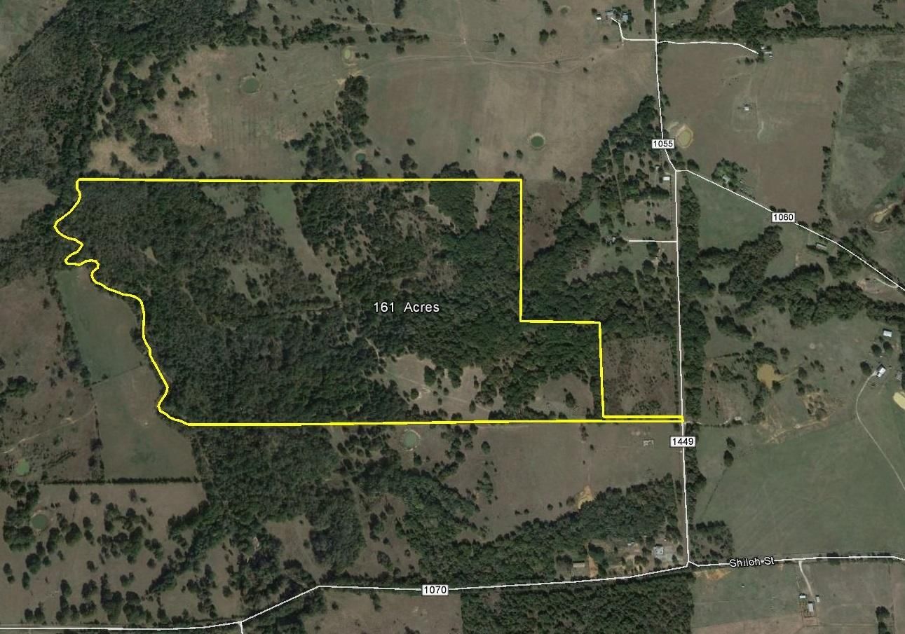 161.00 acres in Freestone County, Texas