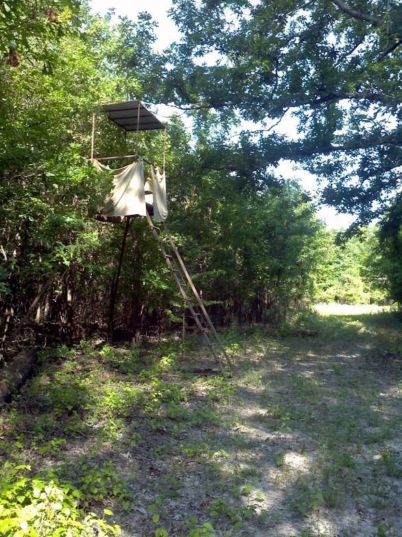 353.00 acres in Bradley County, Arkansas