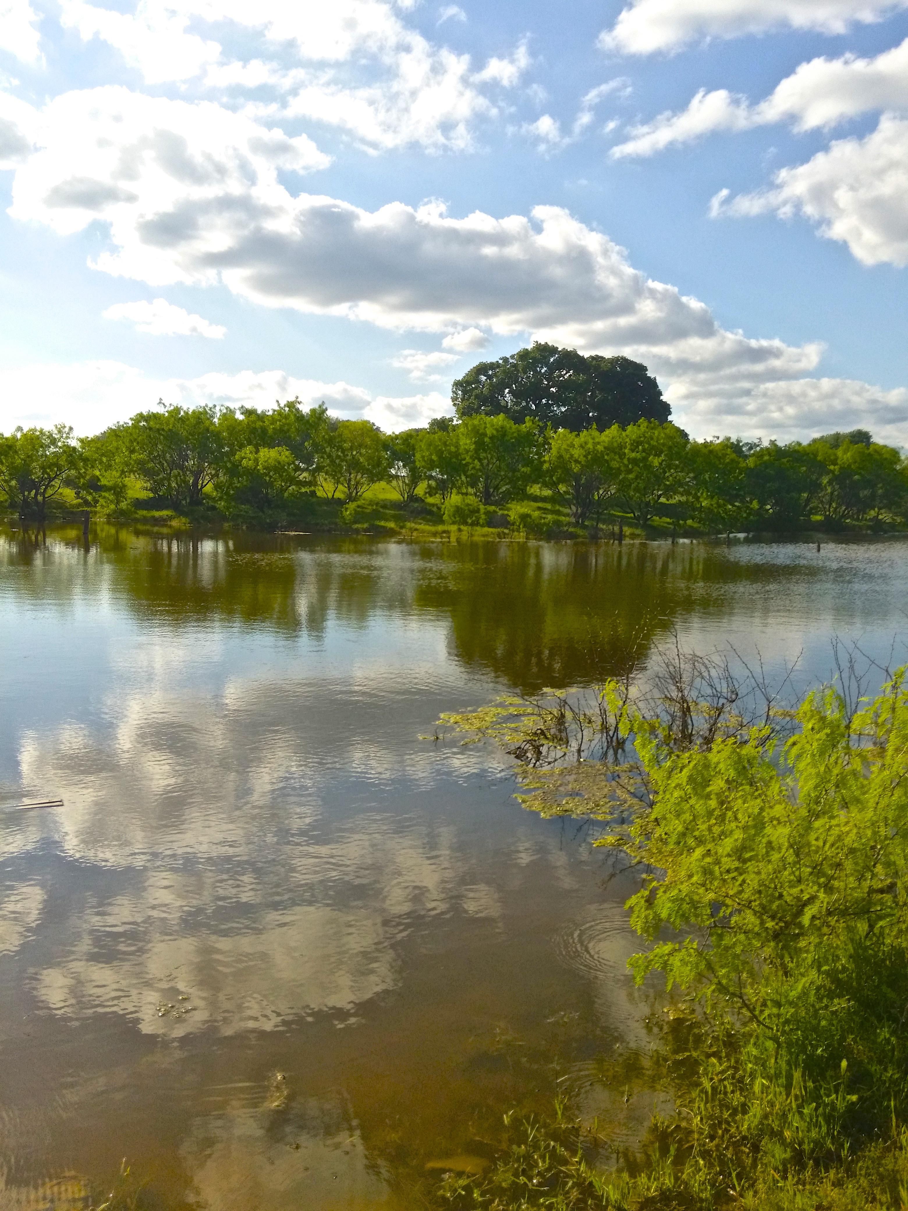 620 acres in Comanche County, Texas