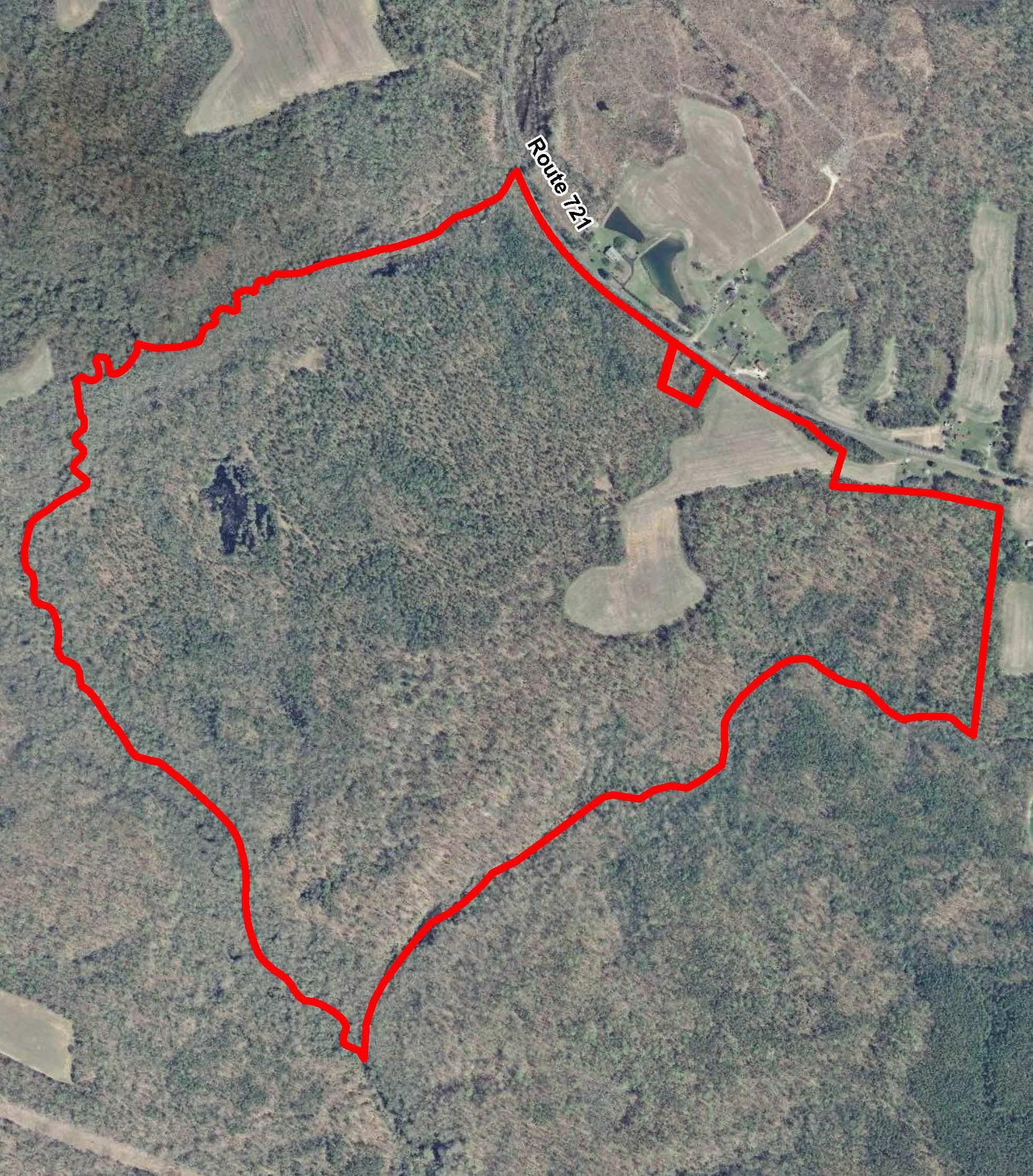 267.6 acres in Caroline County, Virginia