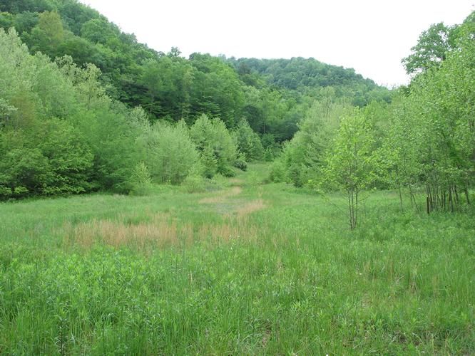 102 acres in Braxton County, West Virginia