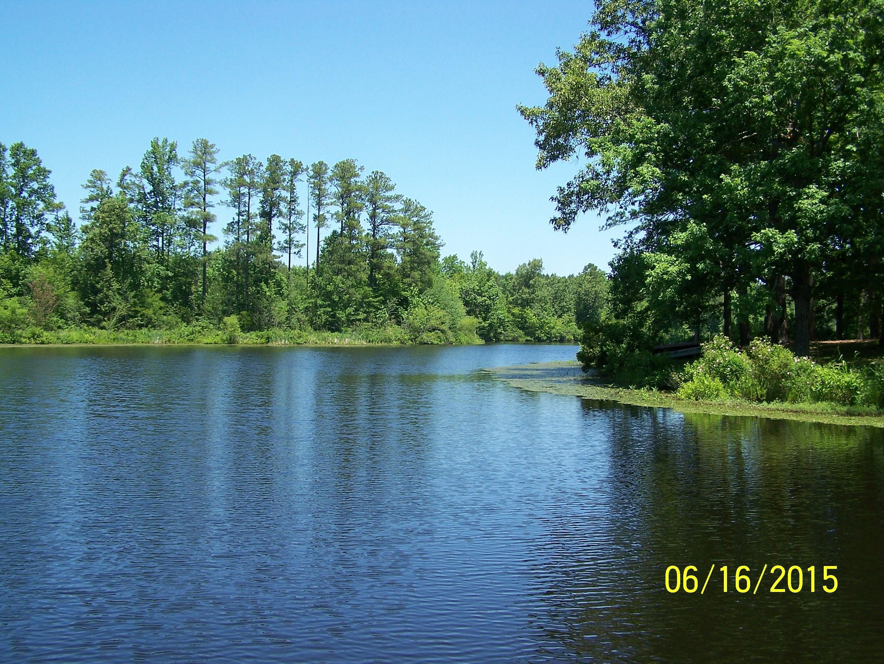 24.48 acres in Greensville County, Virginia