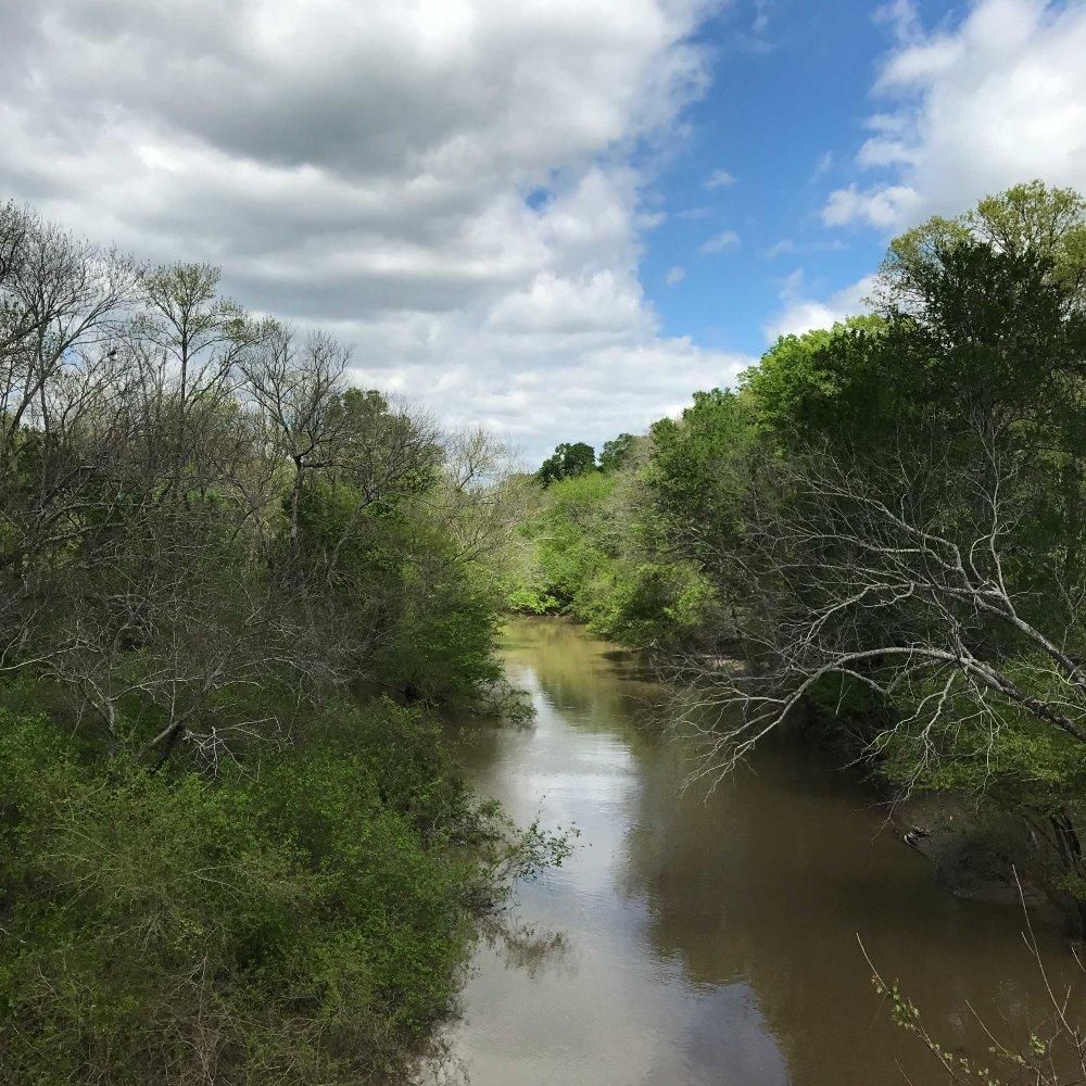 1,267 acres in Rains County, Texas