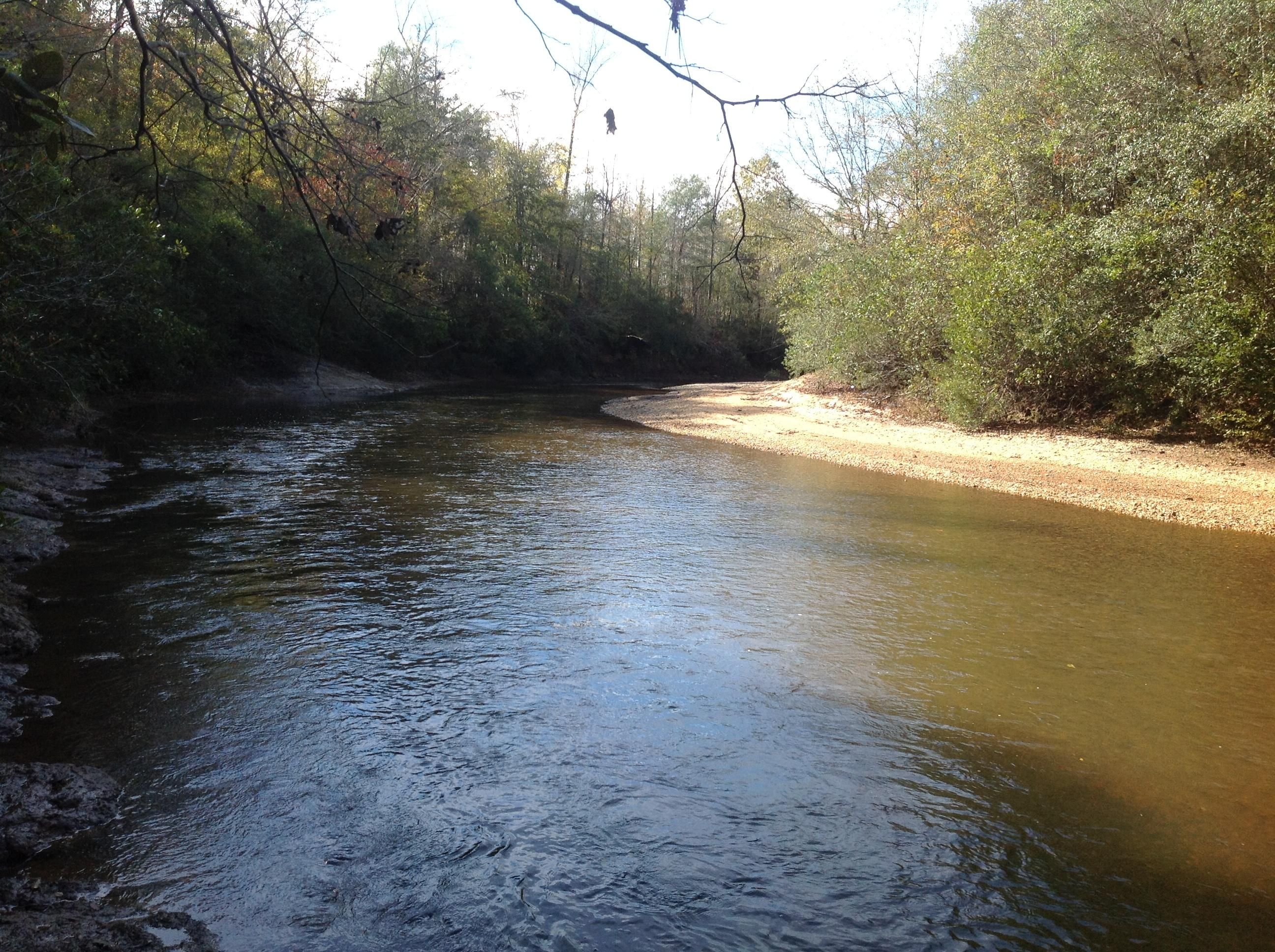 60 acres in Chilton County, Alabama