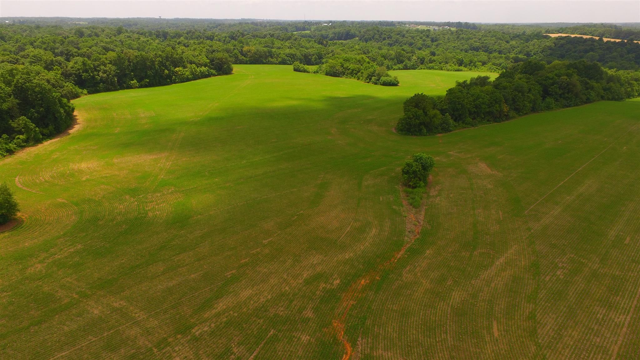 17.15 acres in Robertson County, Tennessee