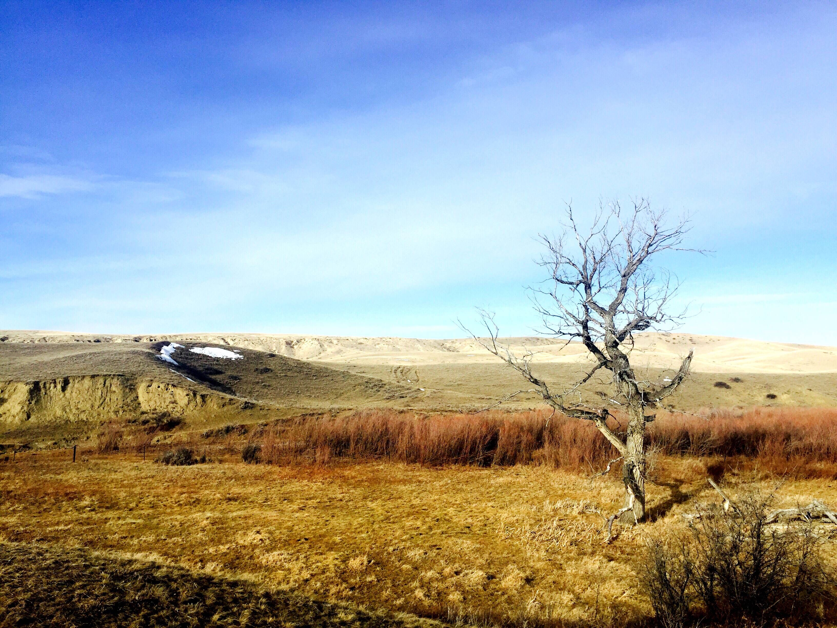 80 acres in Pondera County, Montana
