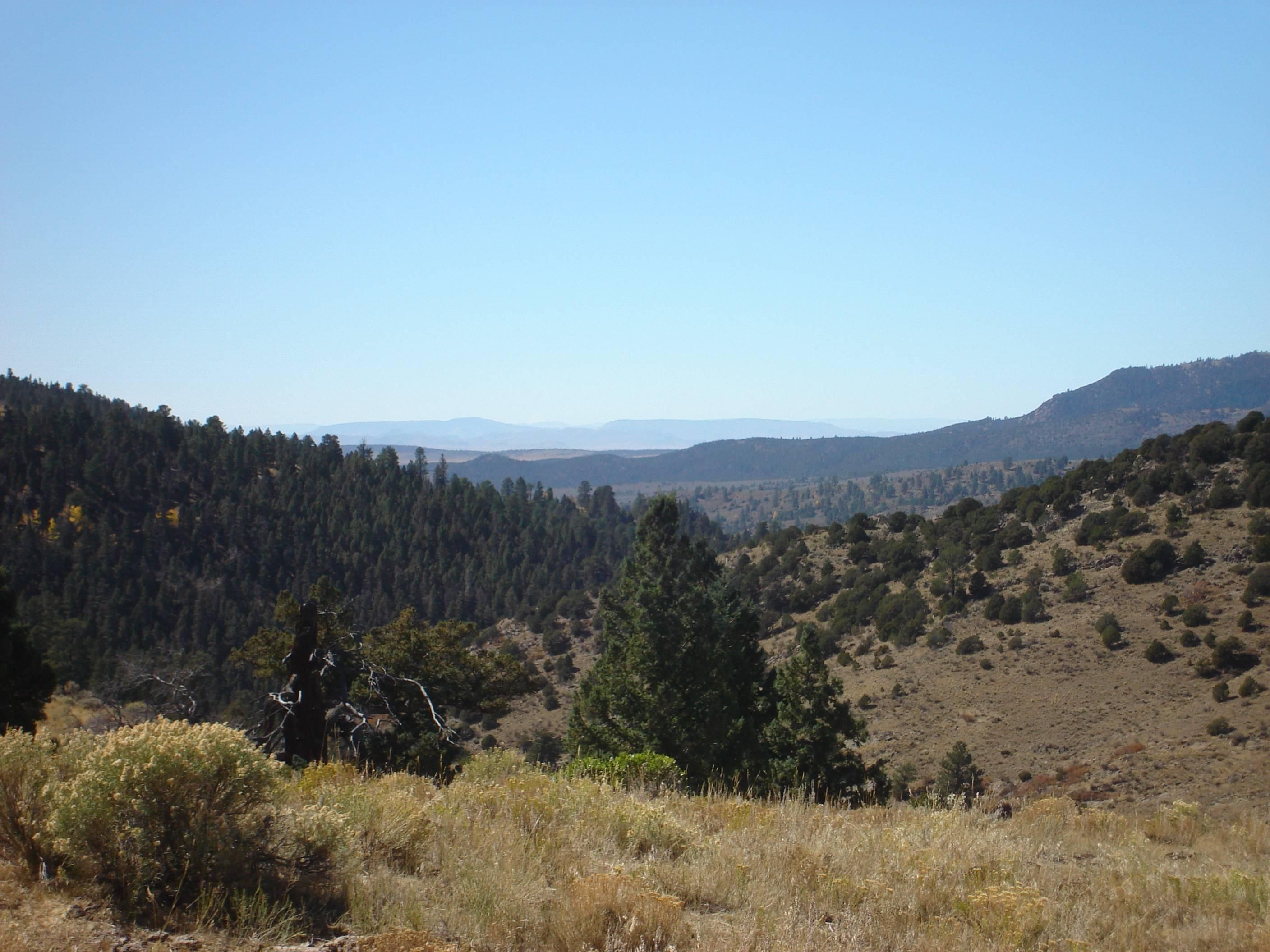 40 acres in Costilla County, Colorado