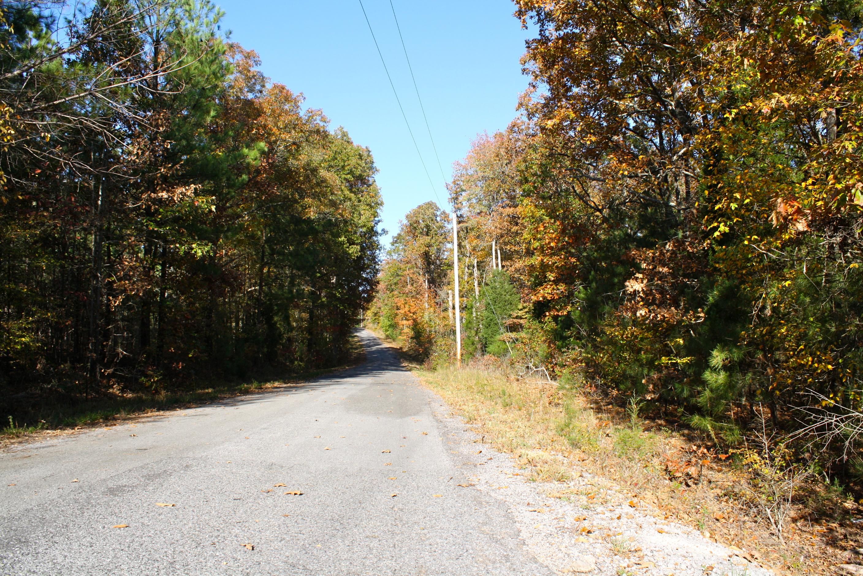 37.18 acres in Calloway County, Kentucky