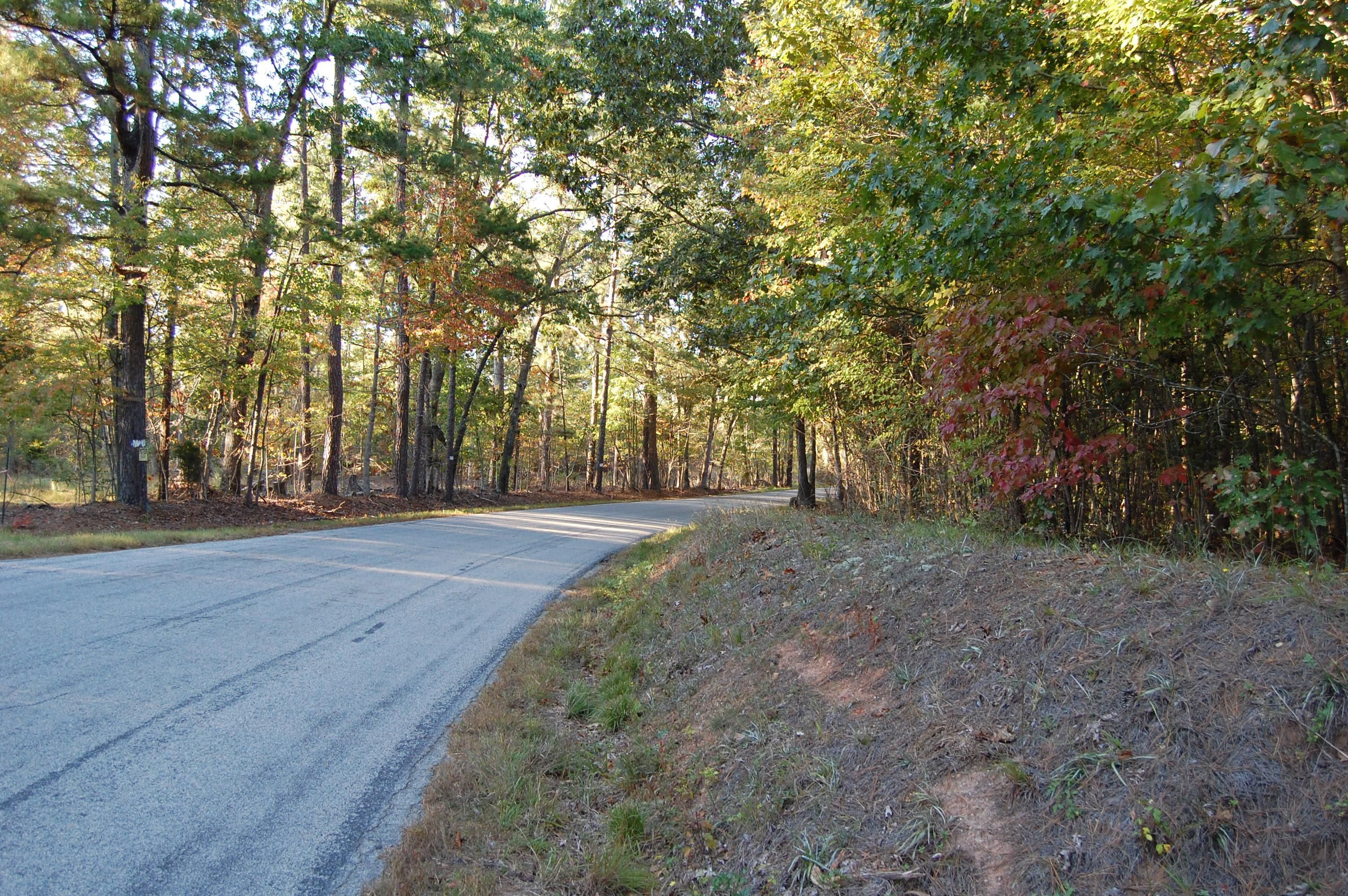 247 acres in Brunswick County, Virginia