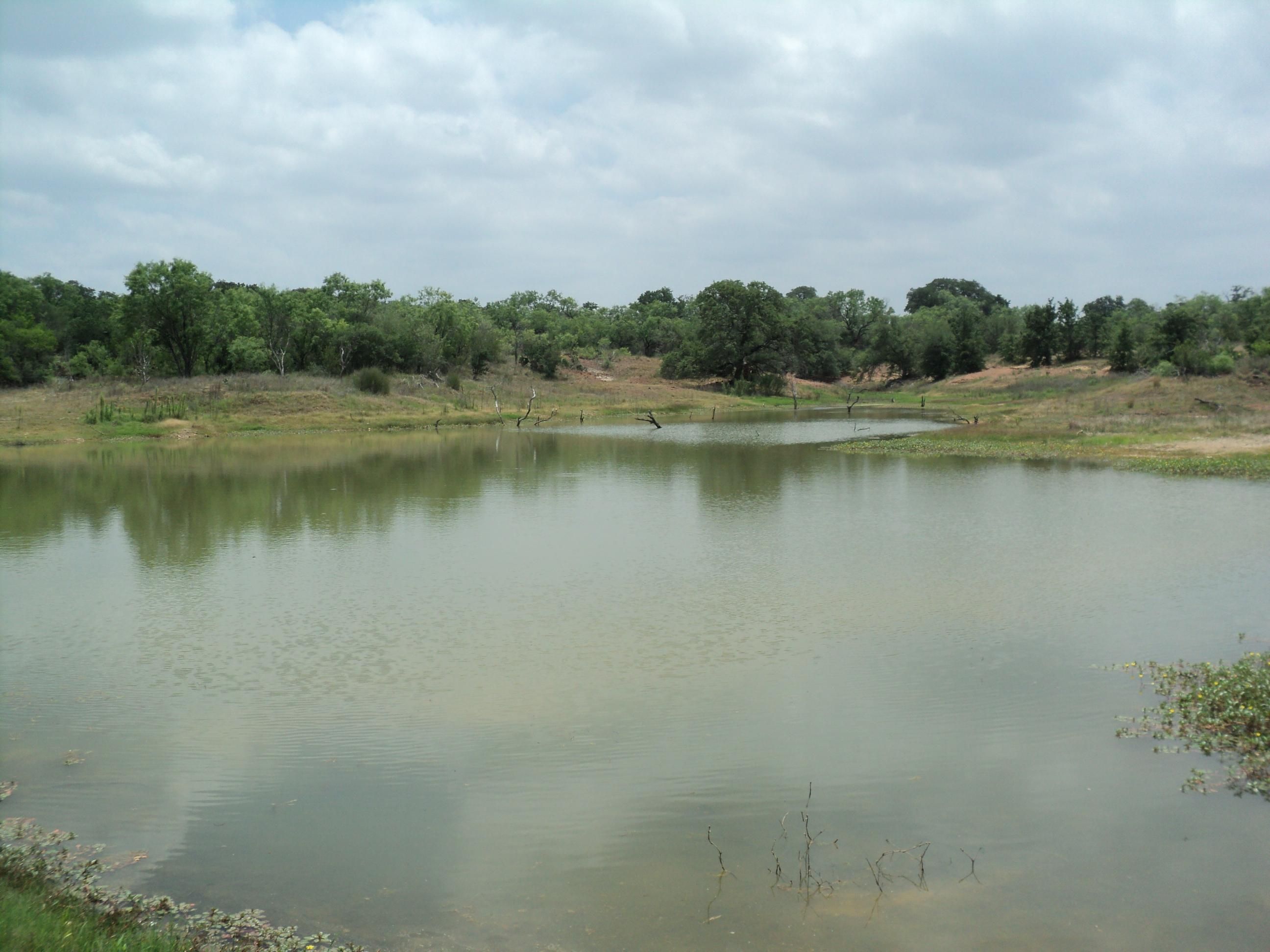 900 acres in Atascosa County, Texas