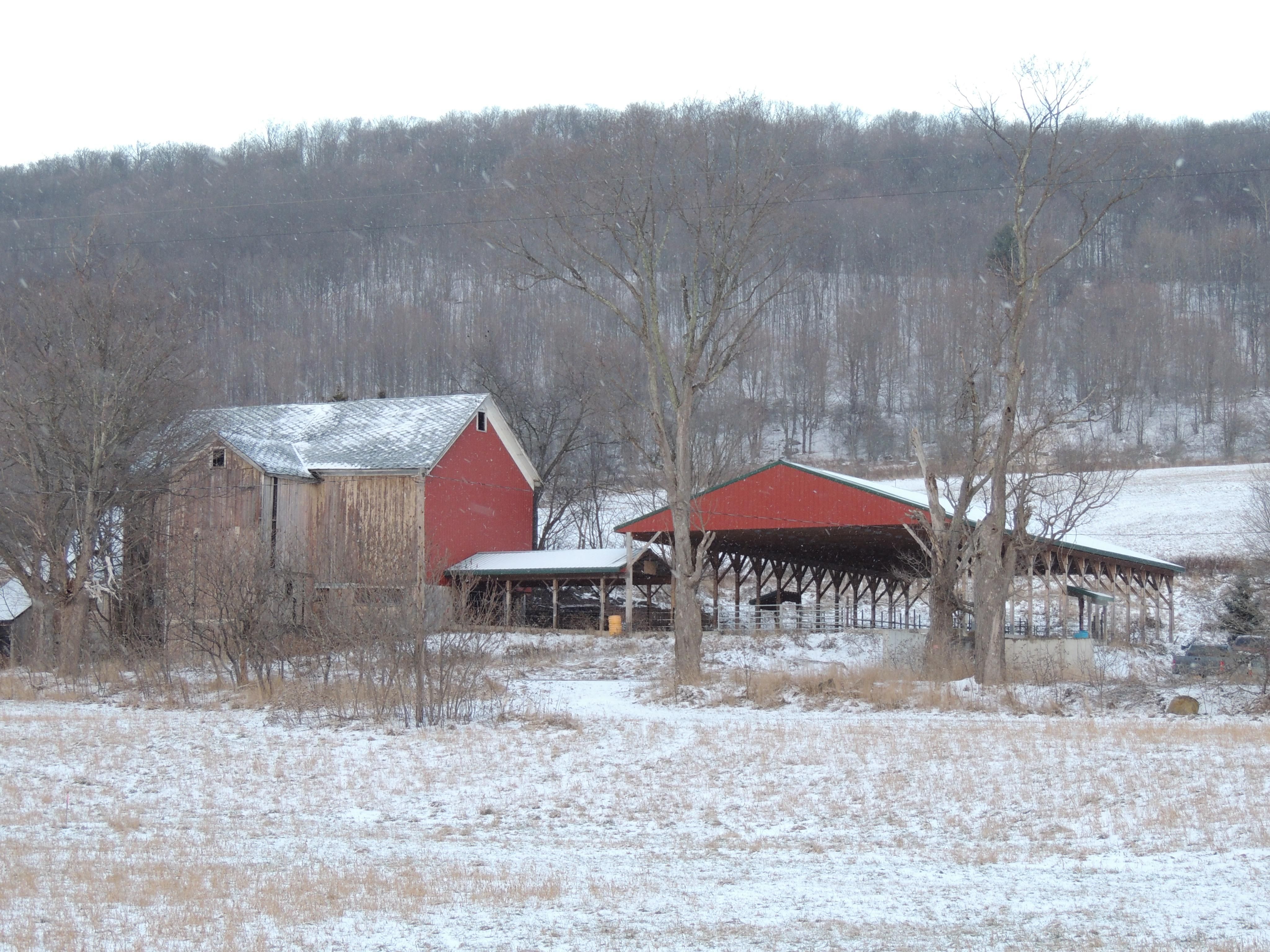 10 acres in Delaware County, New York