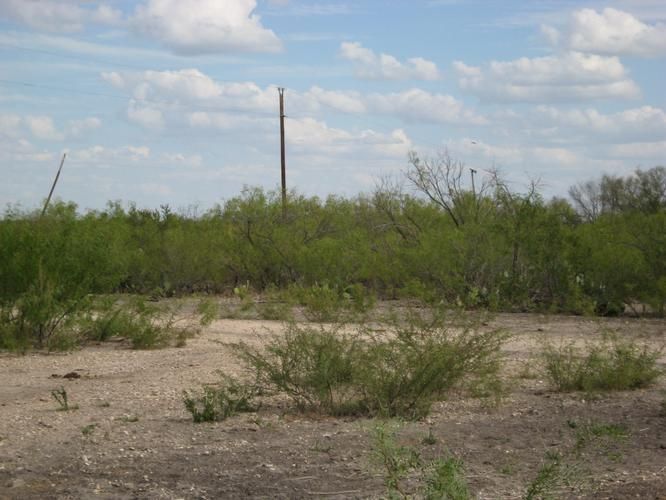 20 acres in Maverick County, Texas