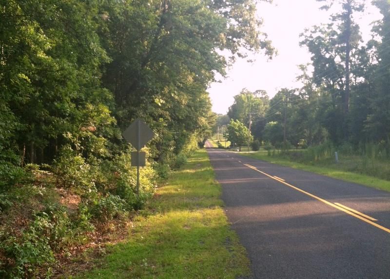 67.09 acres in Calhoun County, South Carolina