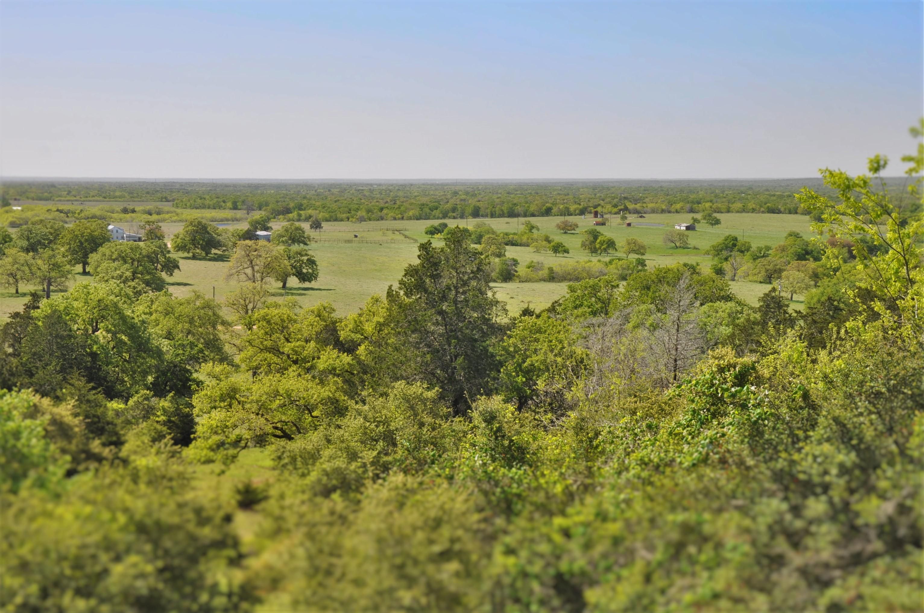 225.00 acres in Lee County, Texas