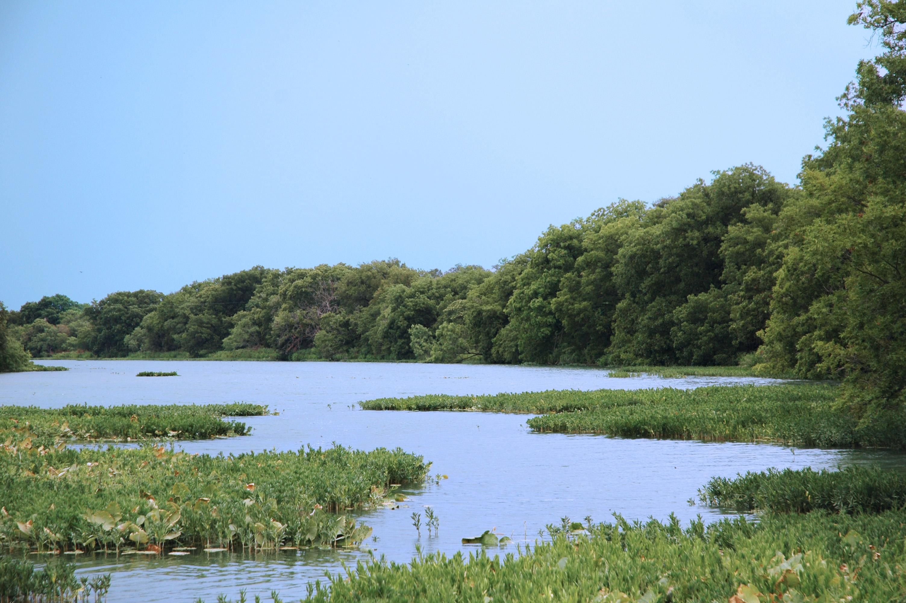 5,700 acres in Menard County, Texas