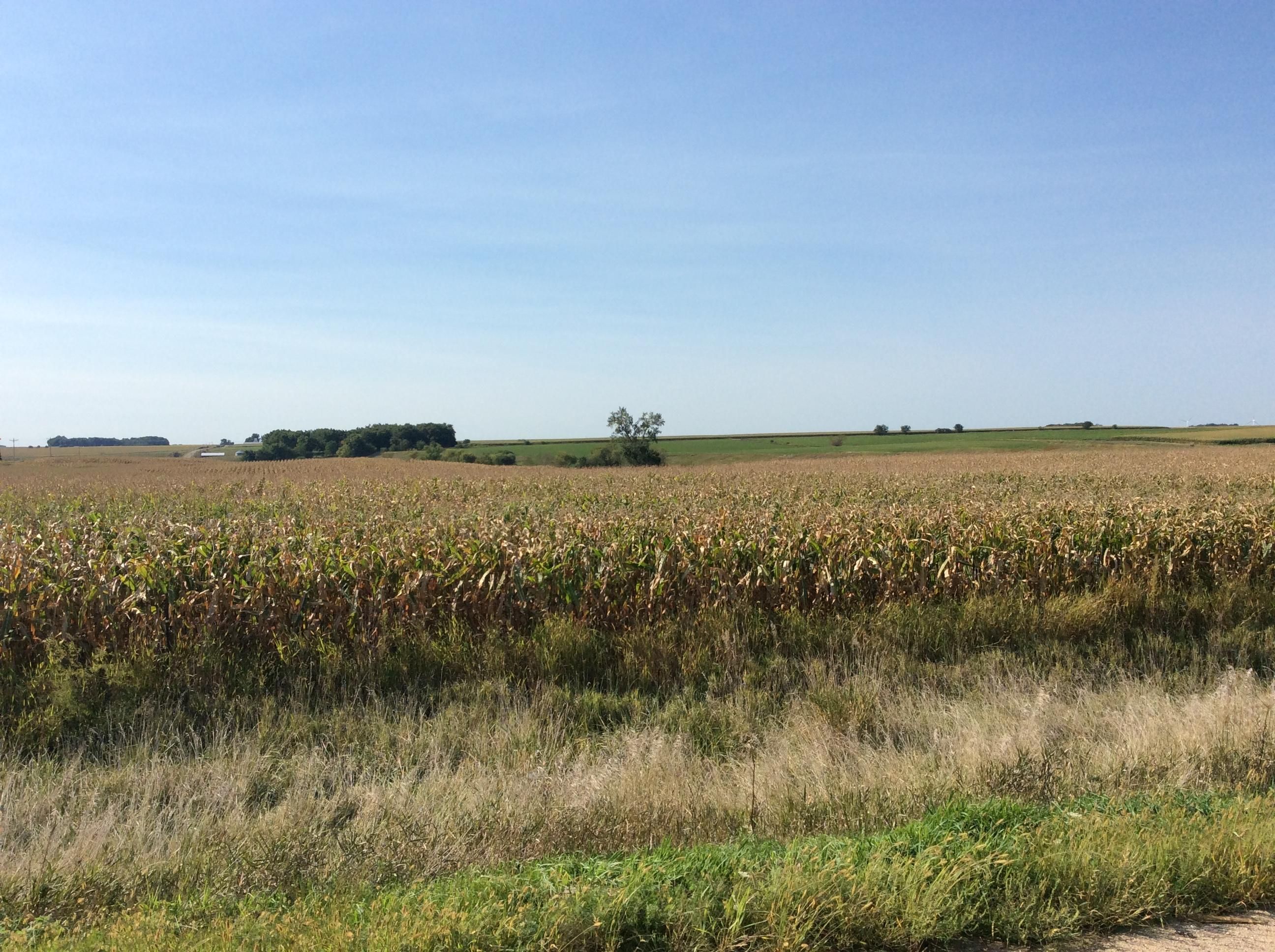 80 acres in Obrien County, Iowa