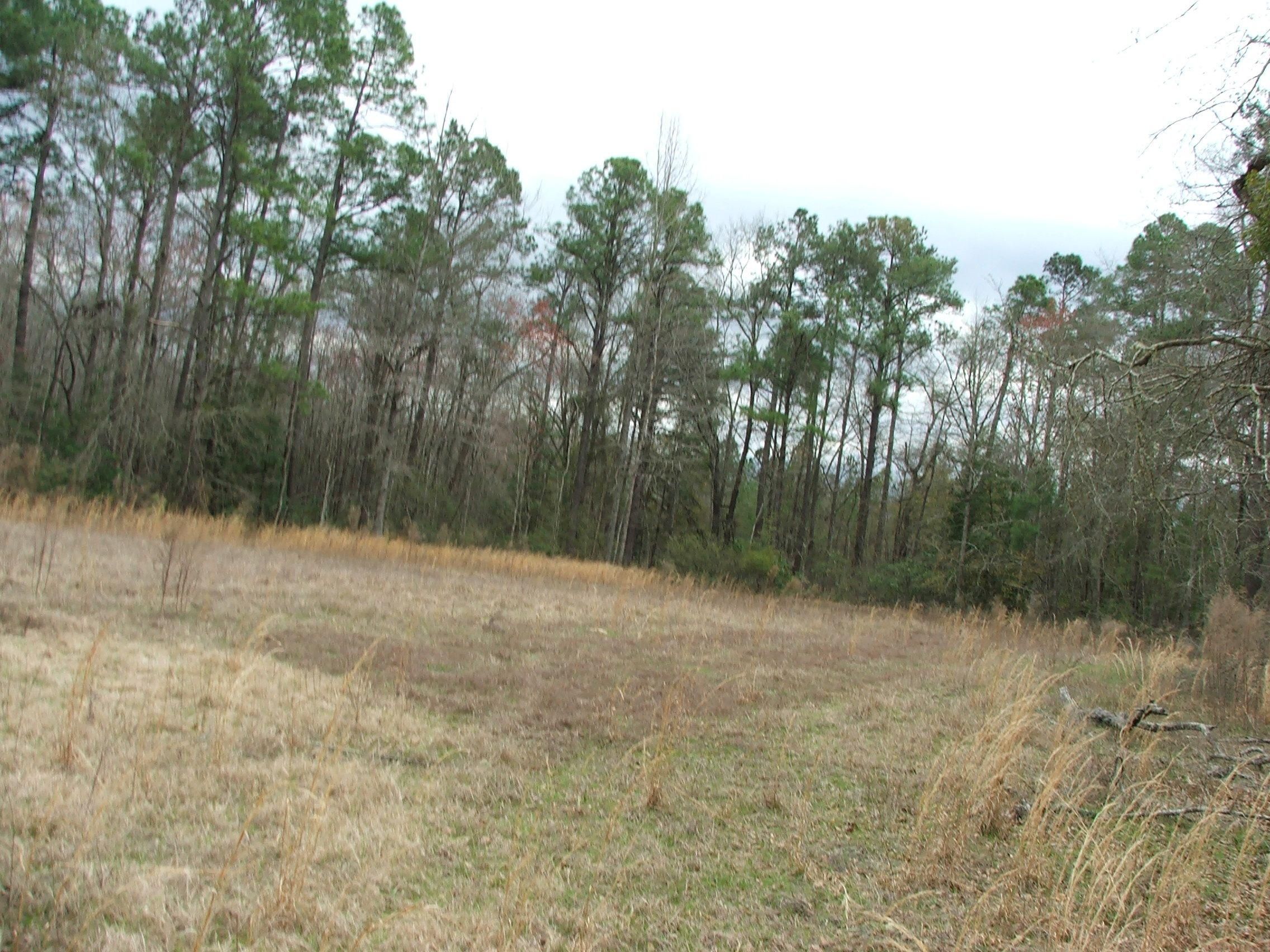 40.41 acres in Screven County,
