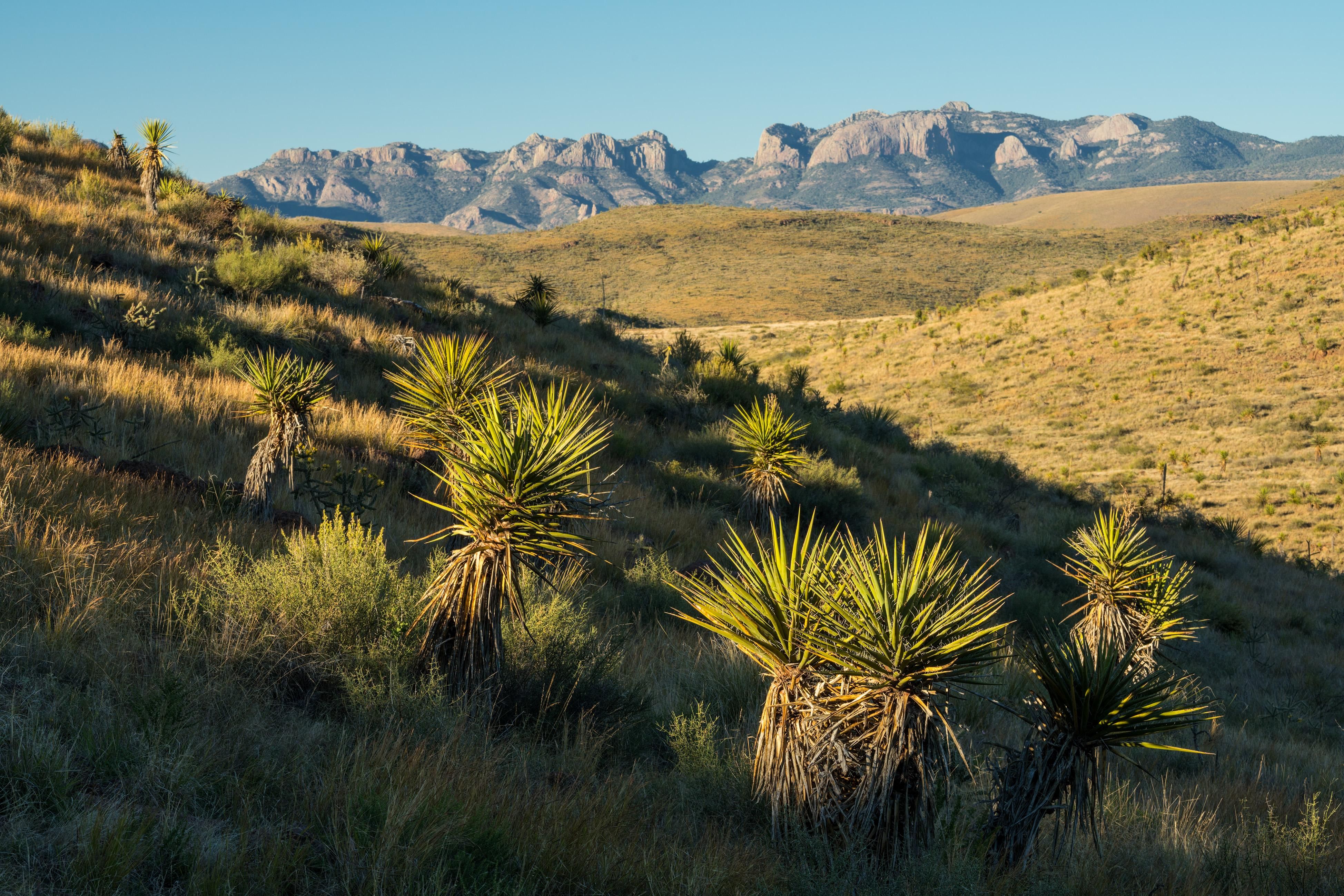 30,770 acres in Jeff Davis County, Texas