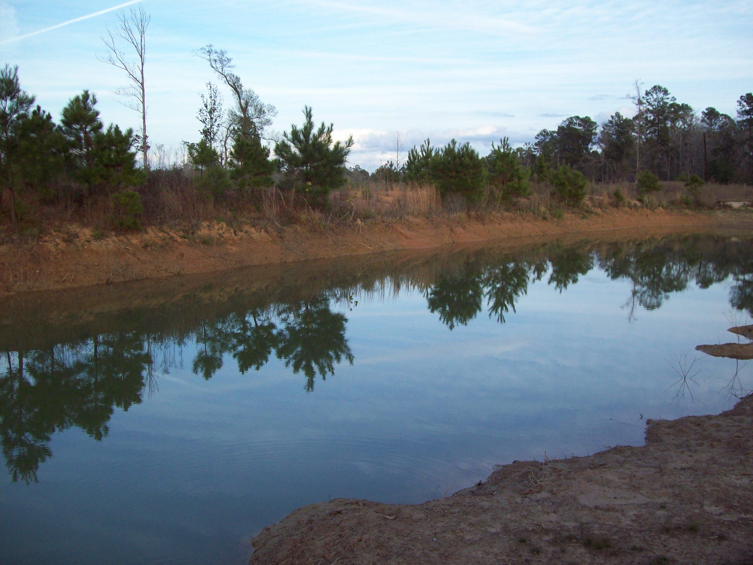 50 acres in Polk County, Texas