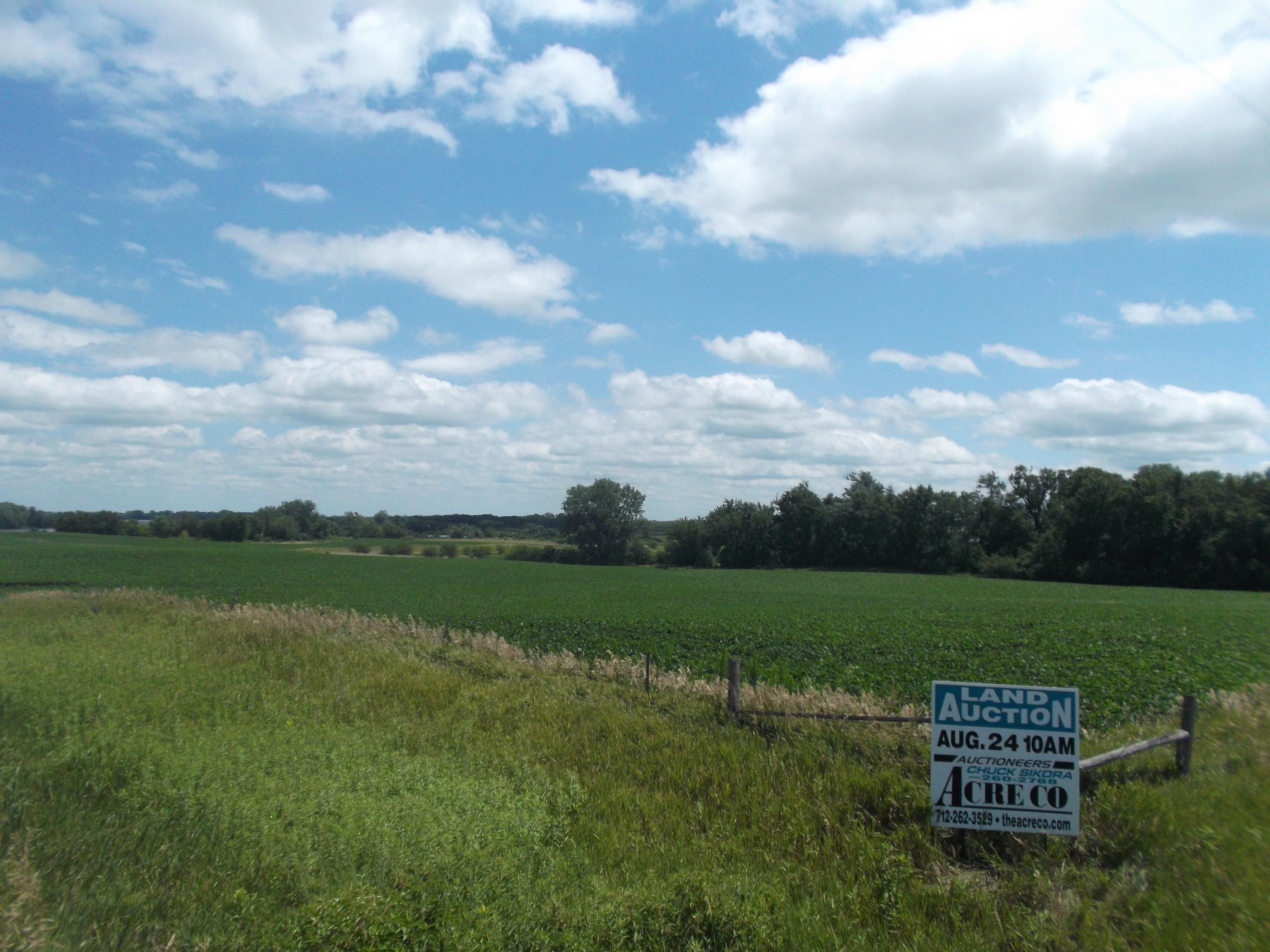 185 acres in Palo Alto County, Iowa
