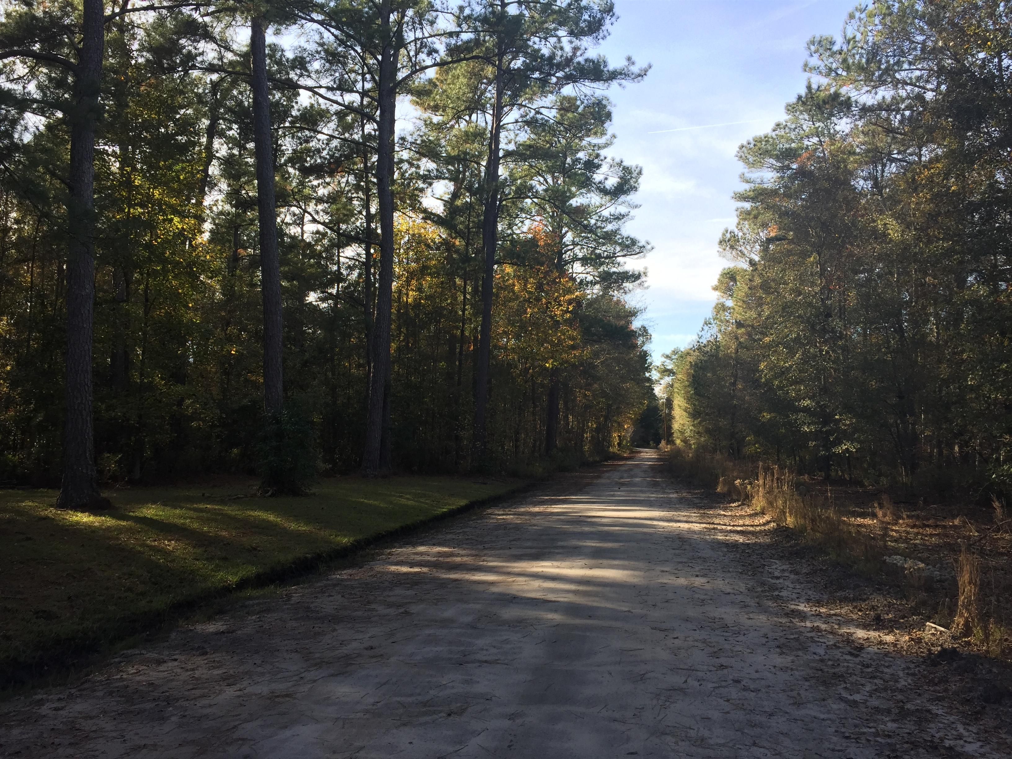 21 acres in Colleton County, South Carolina