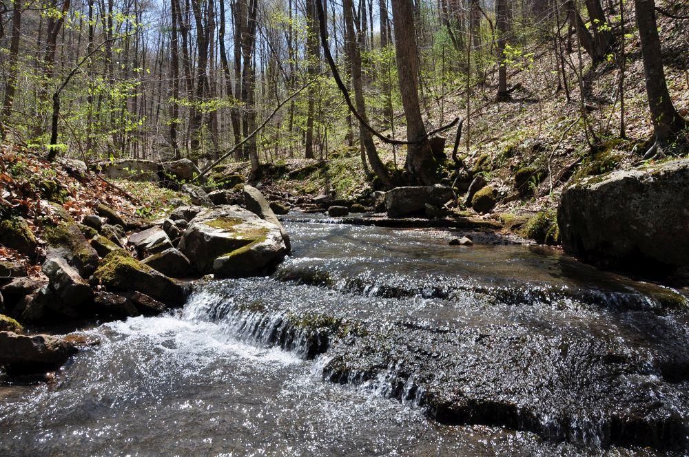 301 acres in Raleigh County, West Virginia