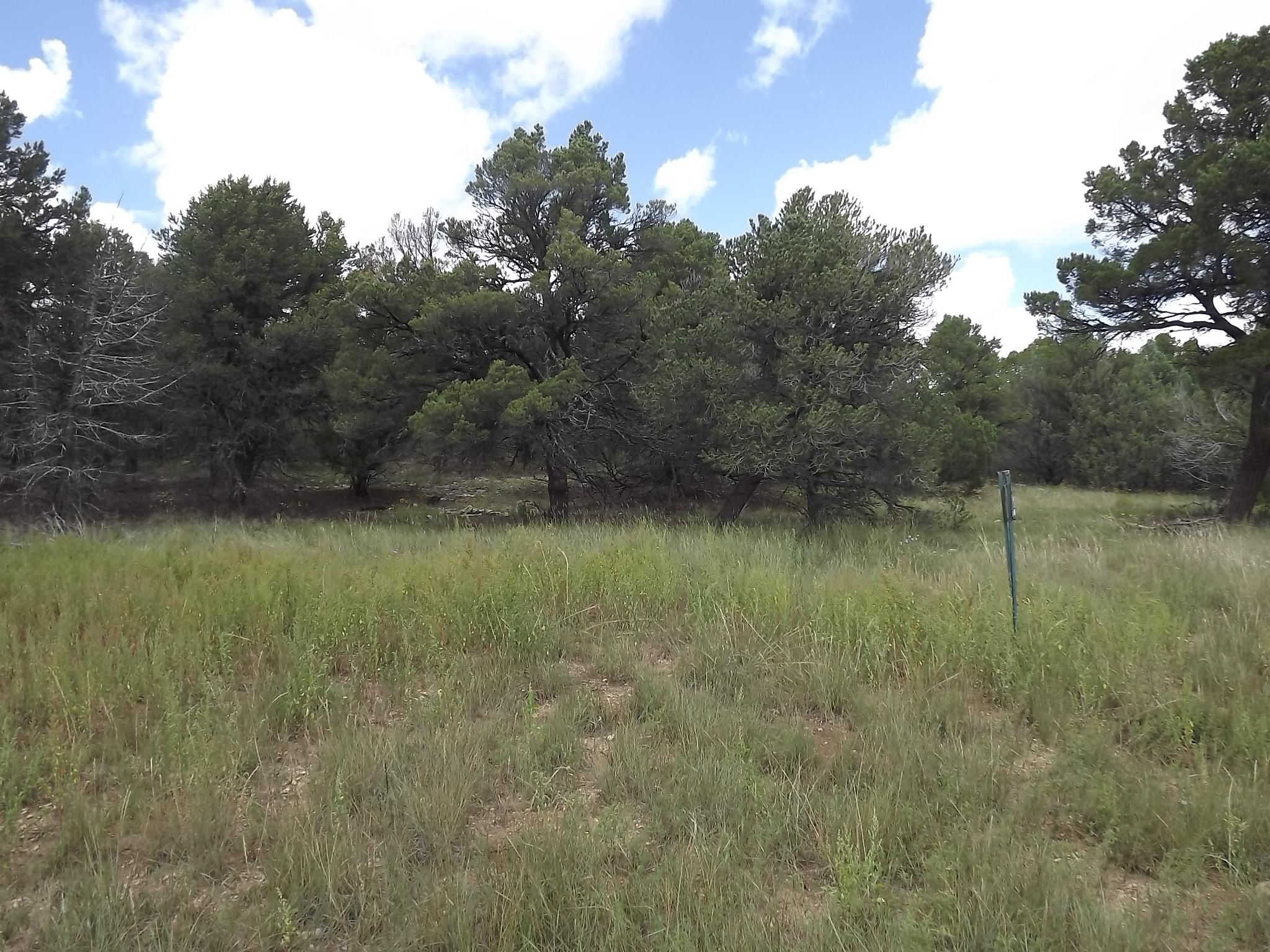 4.30 acres in Bernalillo County, New Mexico