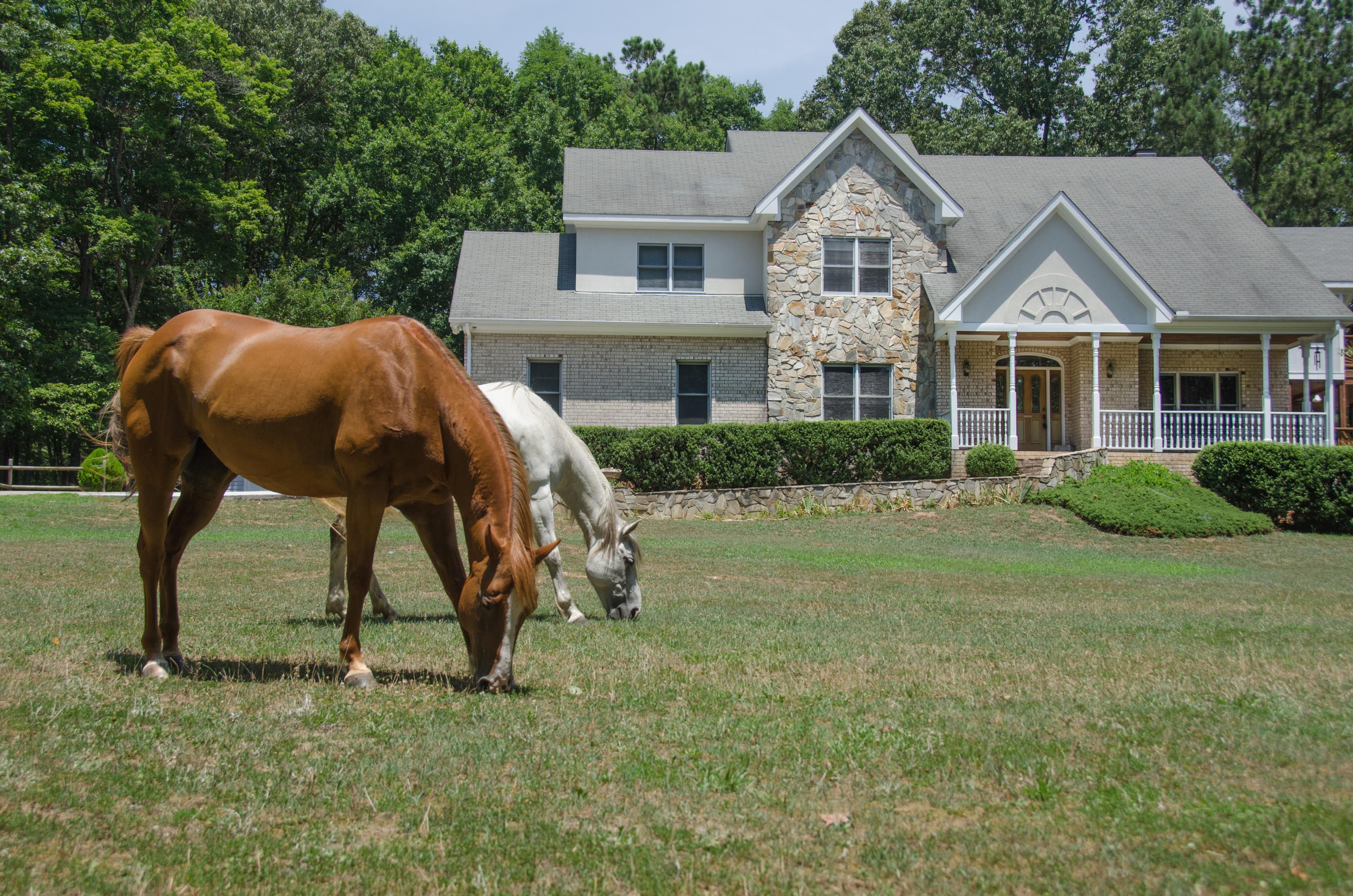 Why Texans Are Ditching Small Horse Farms For 10 Acre Oases - jyhnxxj
