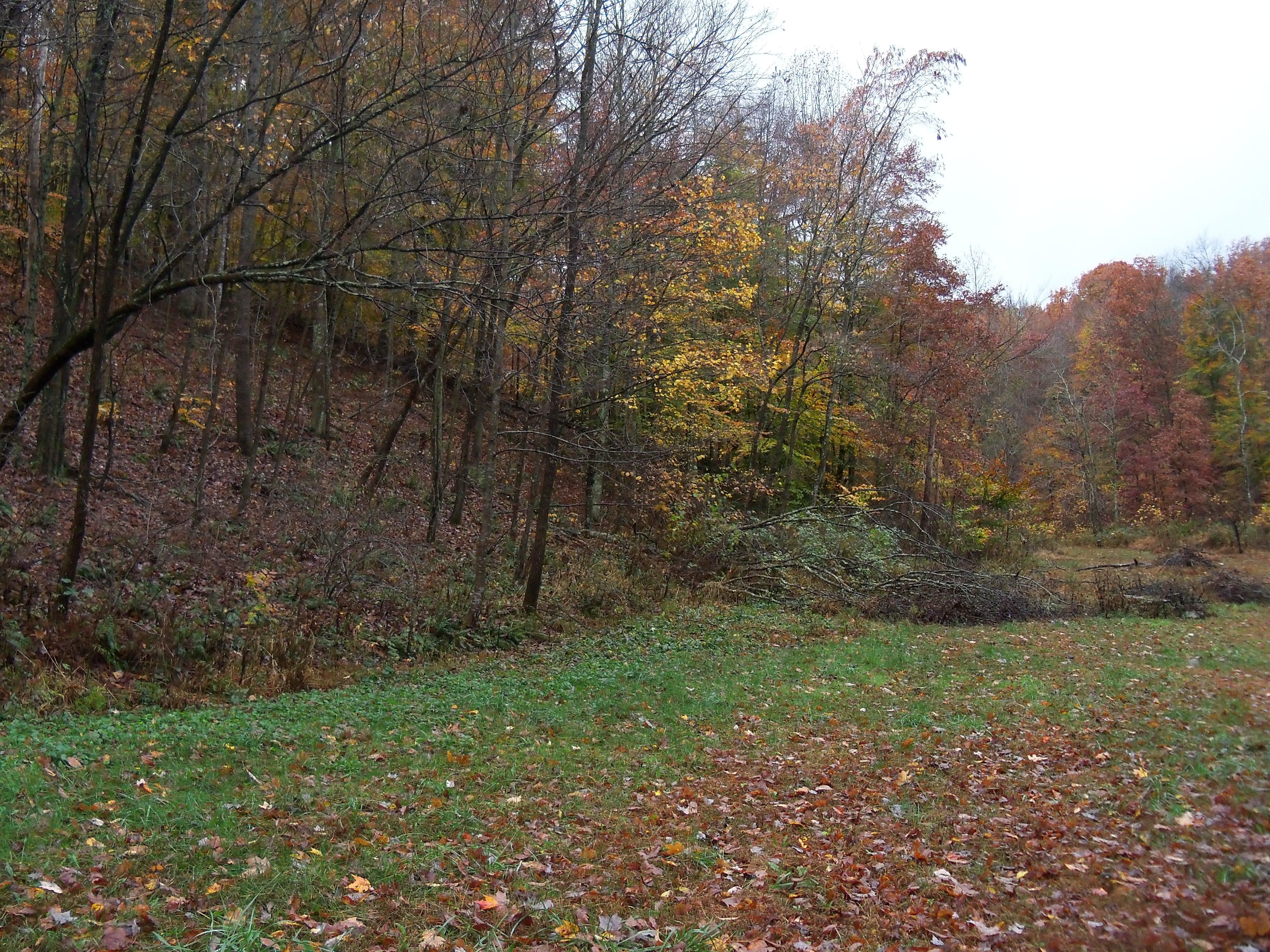 48.00 acres in Pike County, Ohio