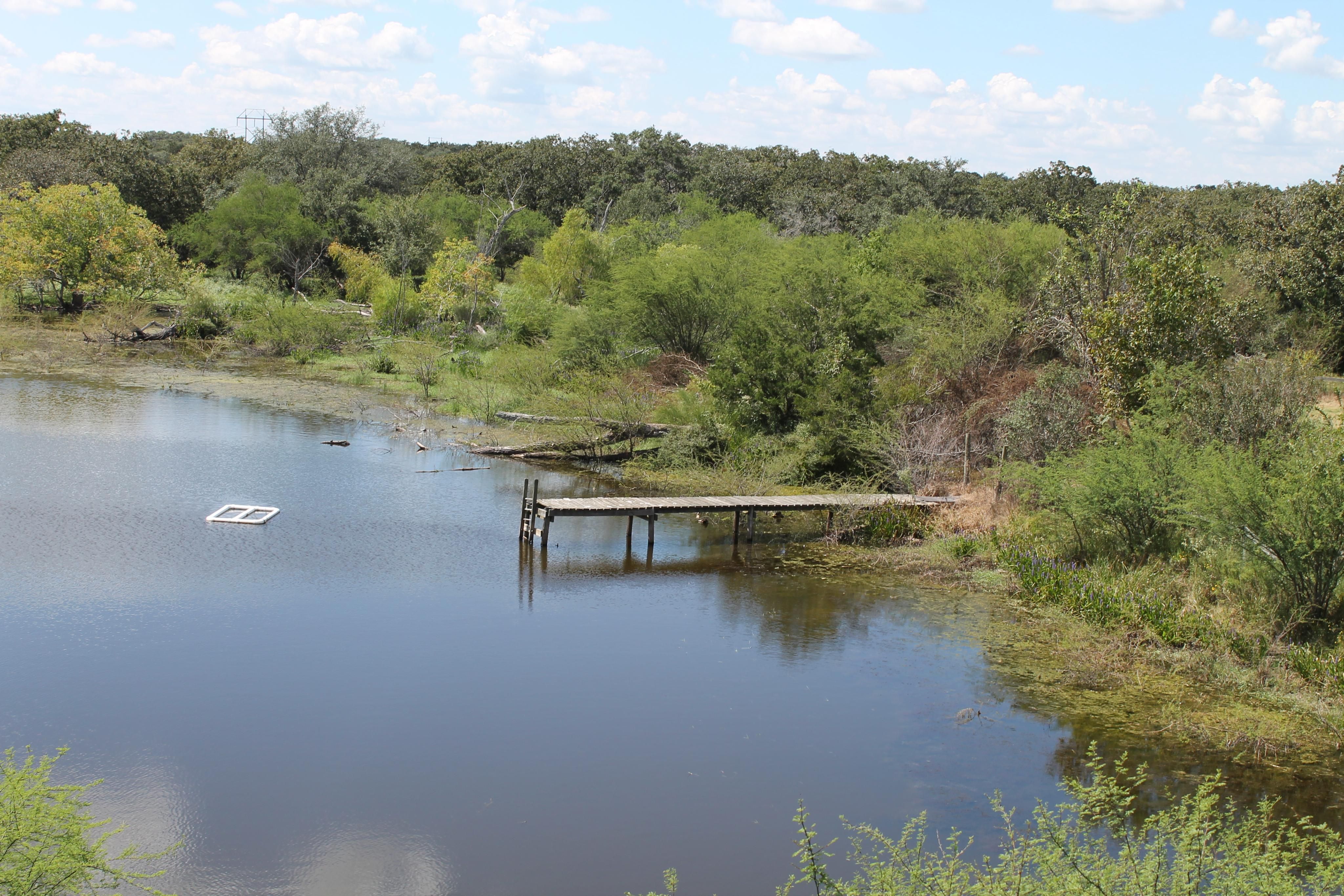 138 acres in Goliad County, Texas