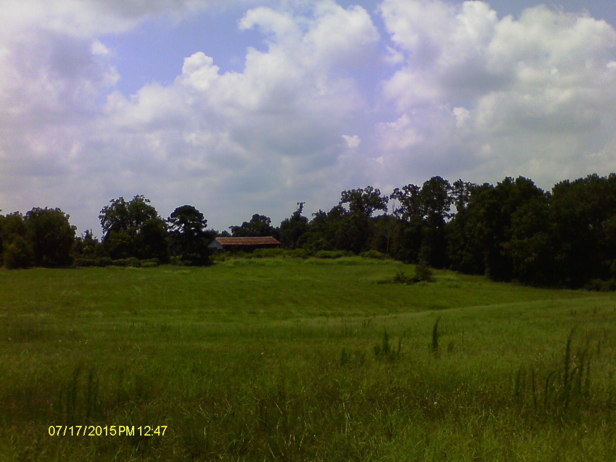 100 acres in Hart County,