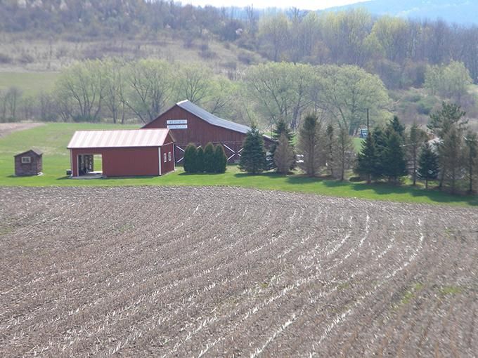 299.02 acres in Steuben County, New York