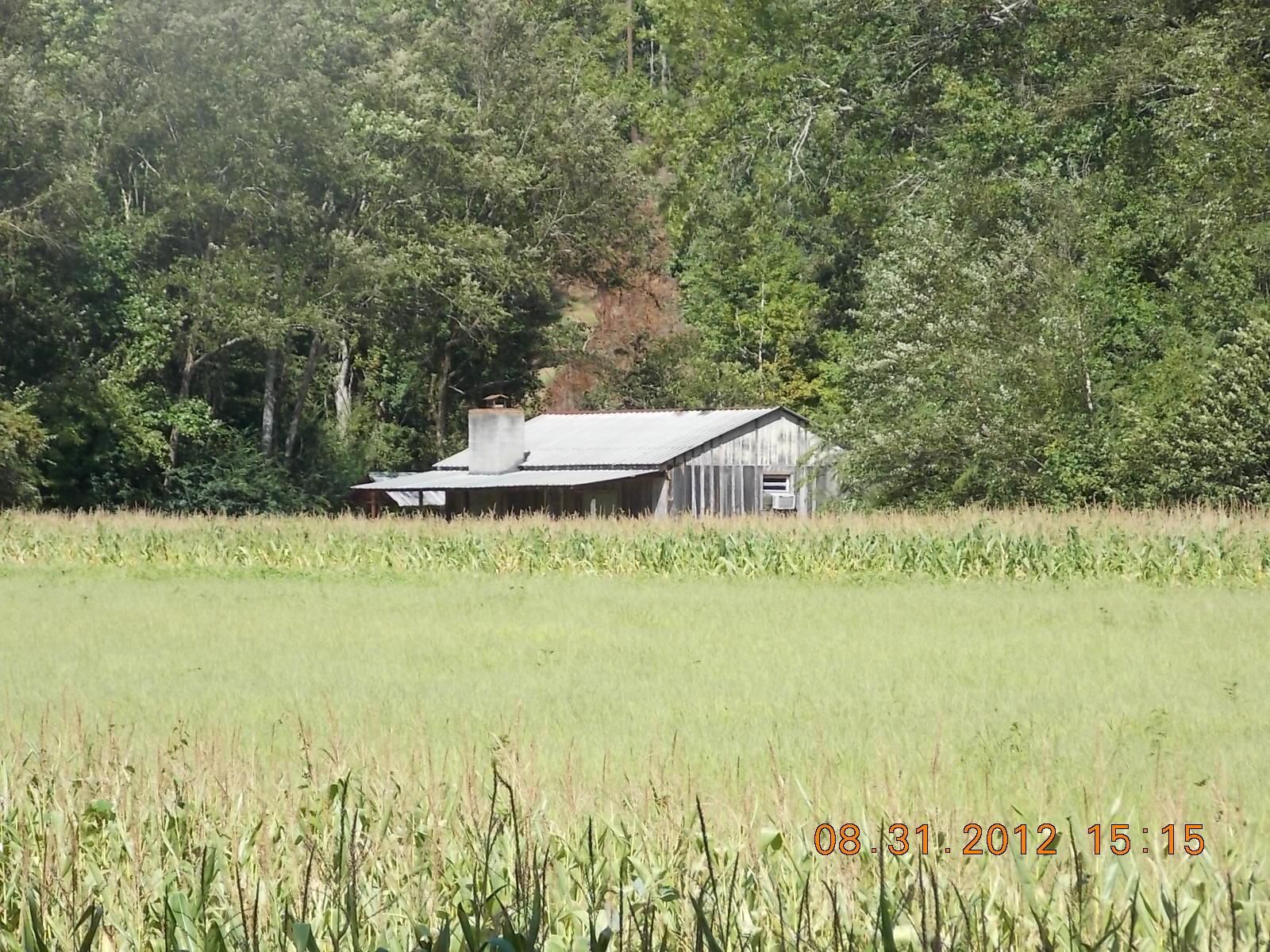 357 acres in Randolph County, Alabama