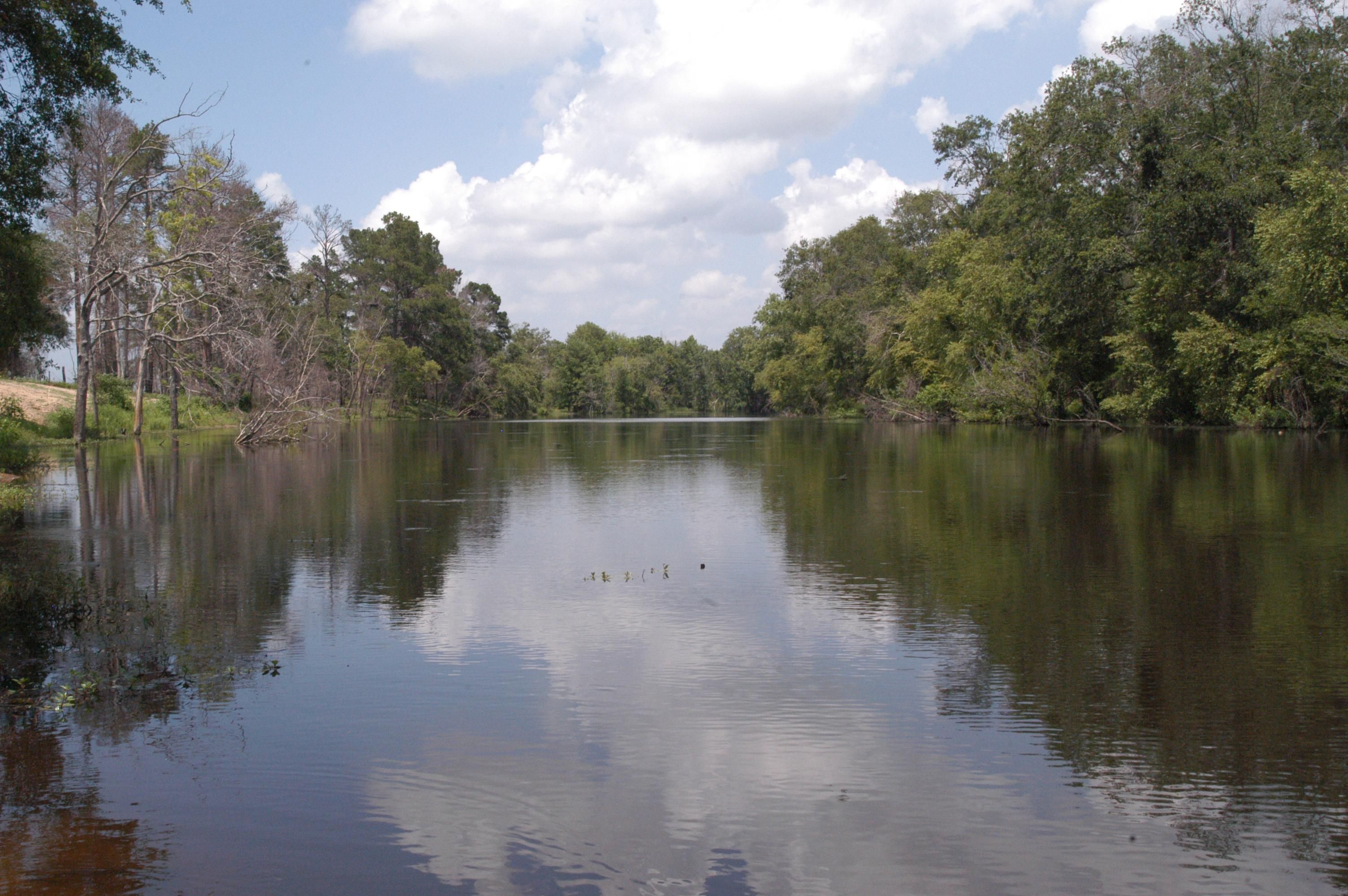 346 acres in Anderson County, Texas