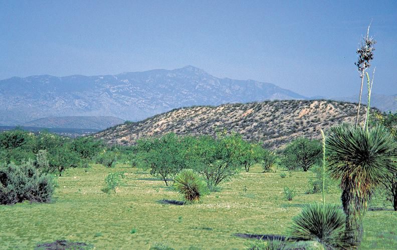36.68 acres in Cochise County, Arizona
