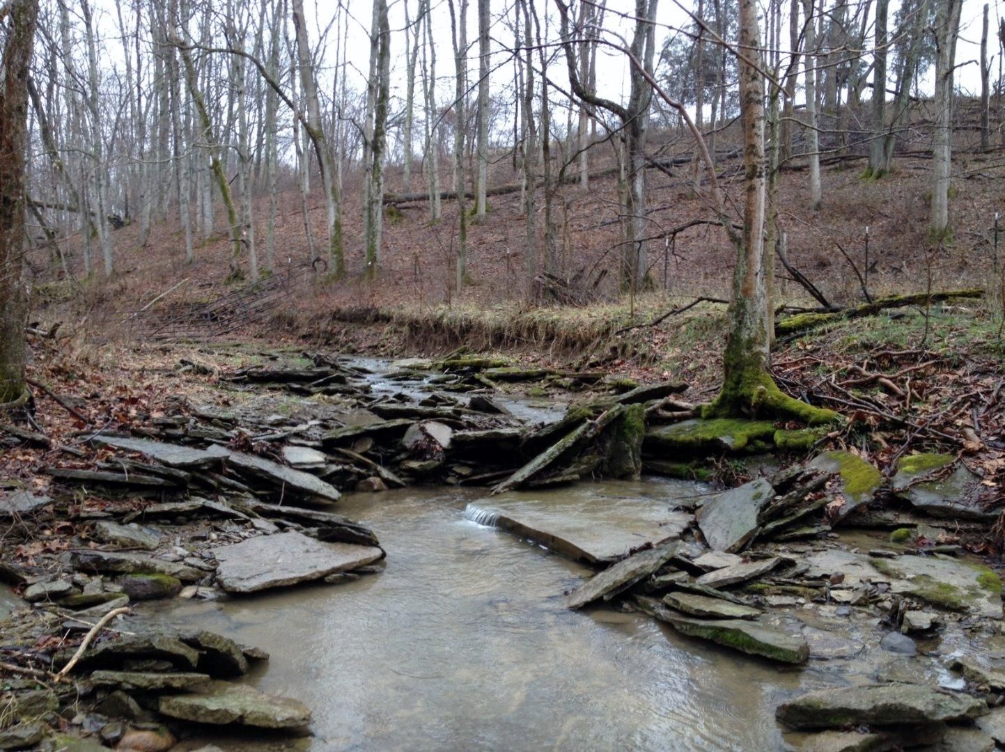 115.68 acres in Brown County, Ohio