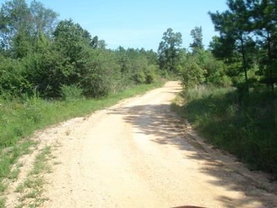131.00 acri nella contea di Lamar, Alabama