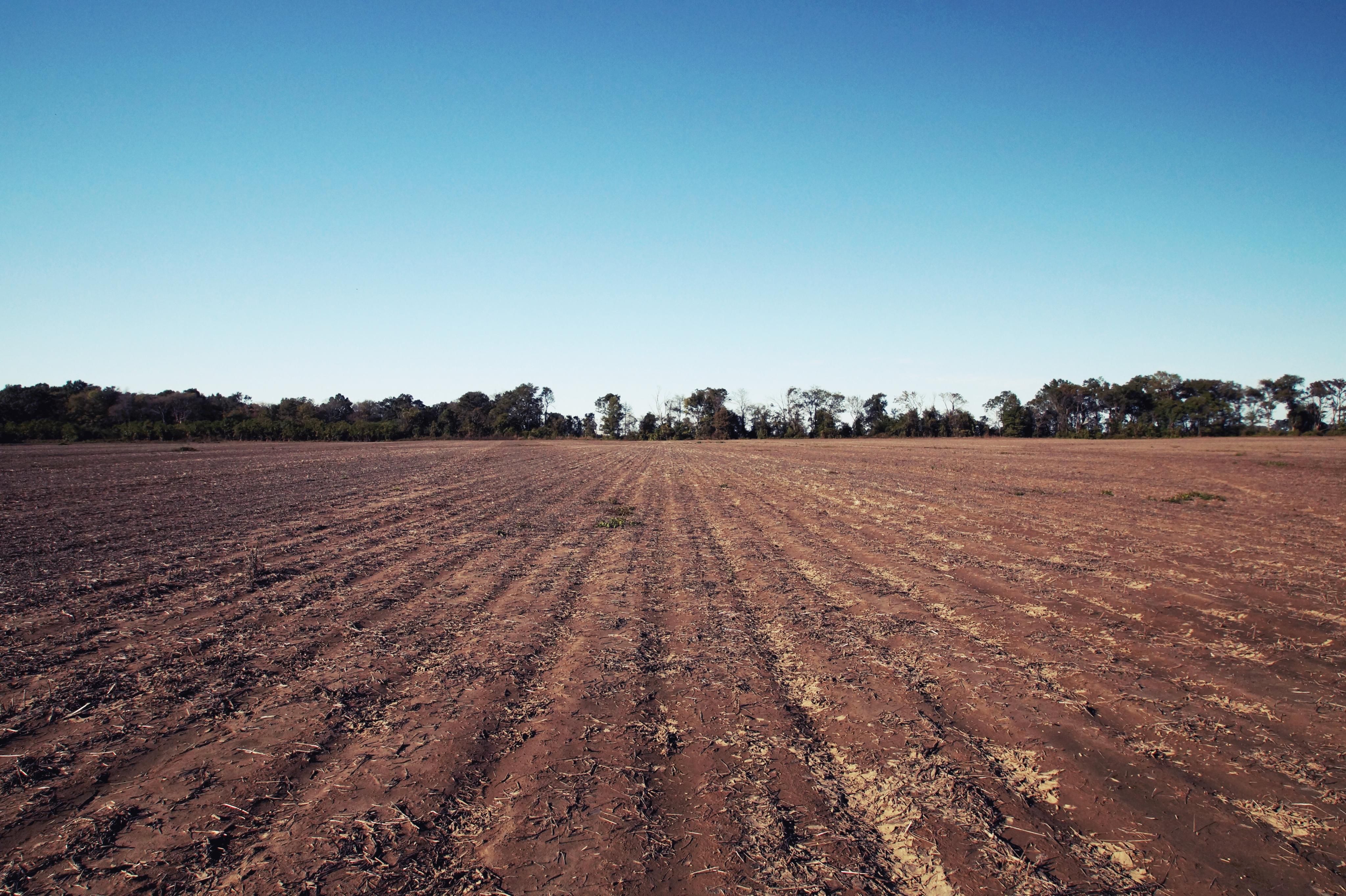 230.00 acres in Humphreys County, Mississippi