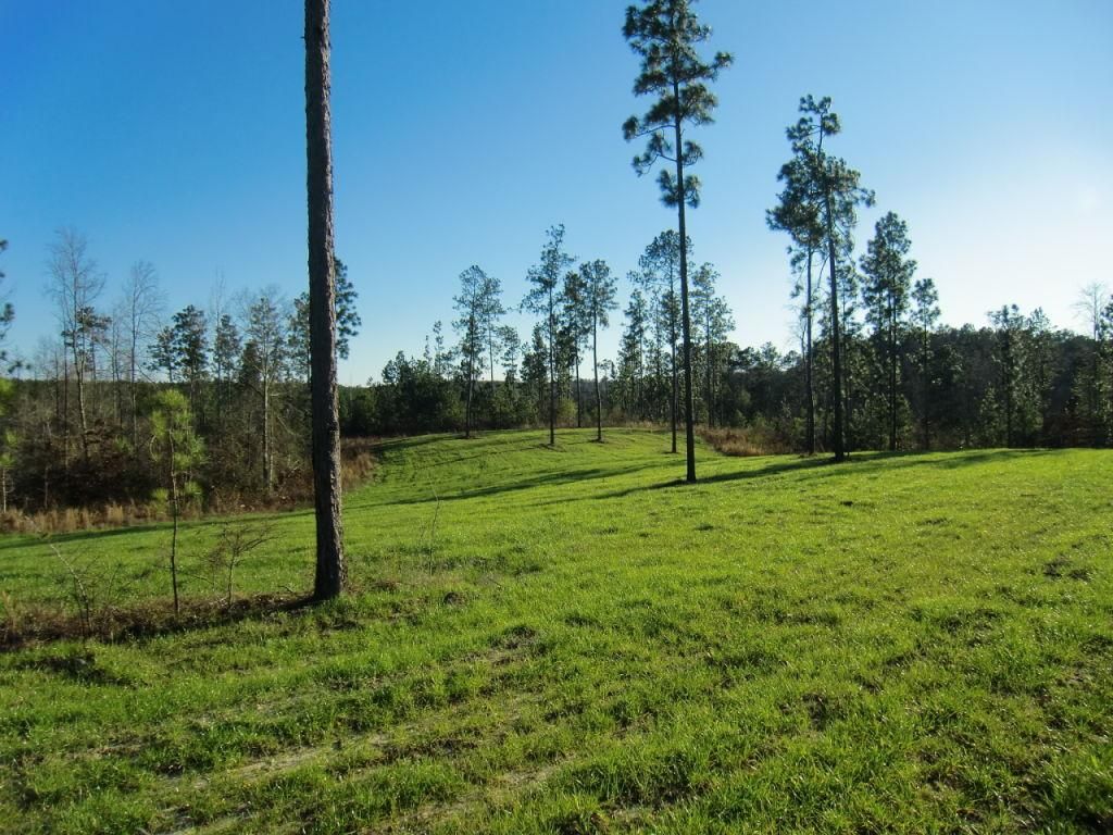 900 acres in Lamar County, Mississippi