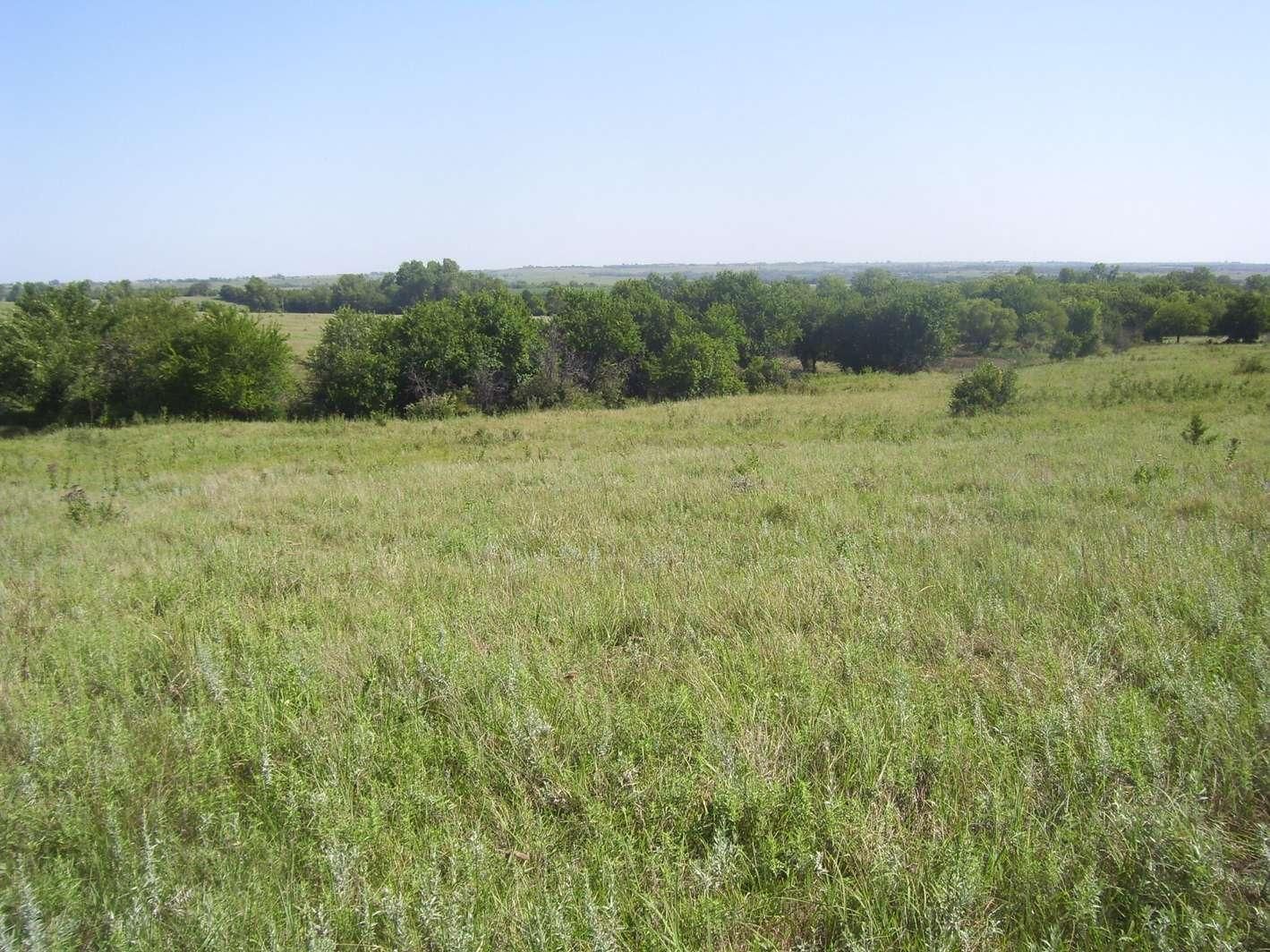 197 acres in Pottawatomie County, Kansas