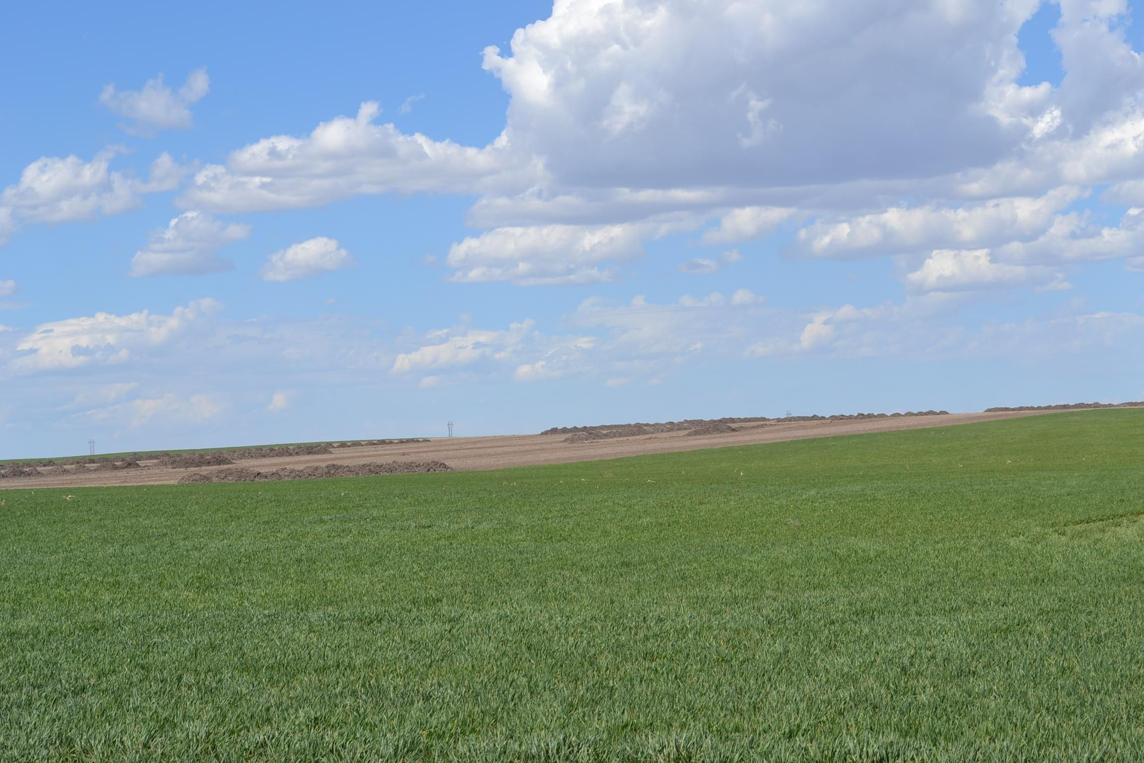 1,344 acres in Box Butte County, Nebraska