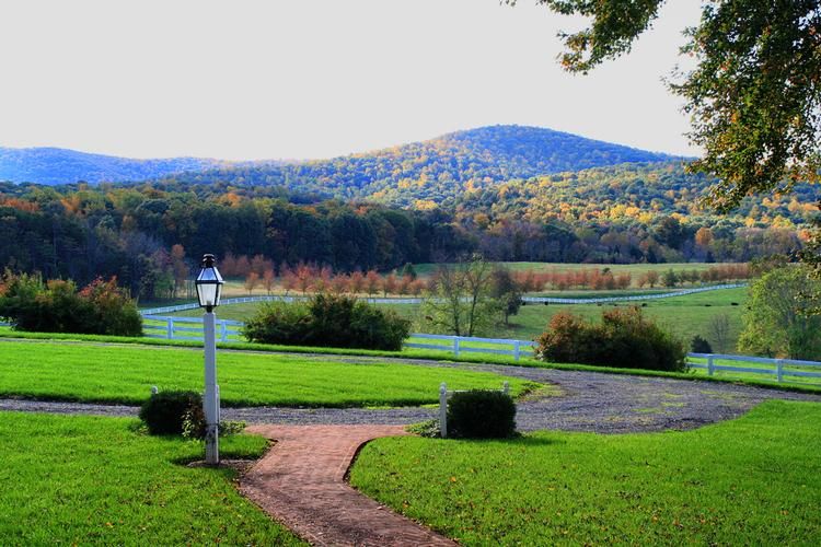 48 acres in Albemarle County, Virginia