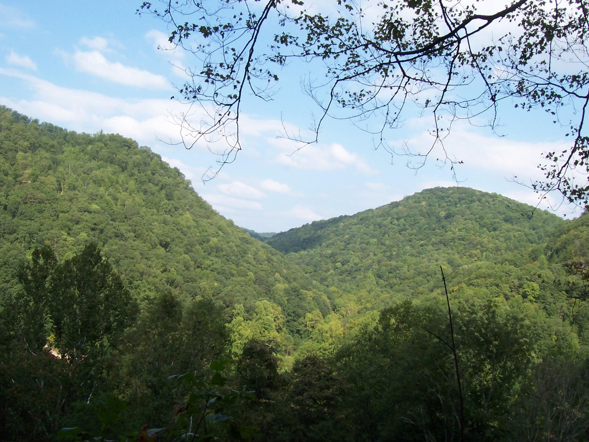123.00 acres in Clay County, West Virginia